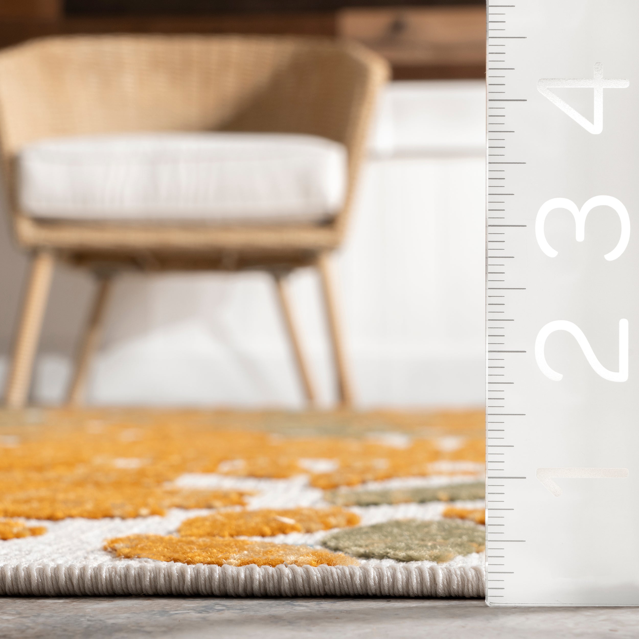 Monique Floral Indoor/Outdoor Area Rug - Image 24