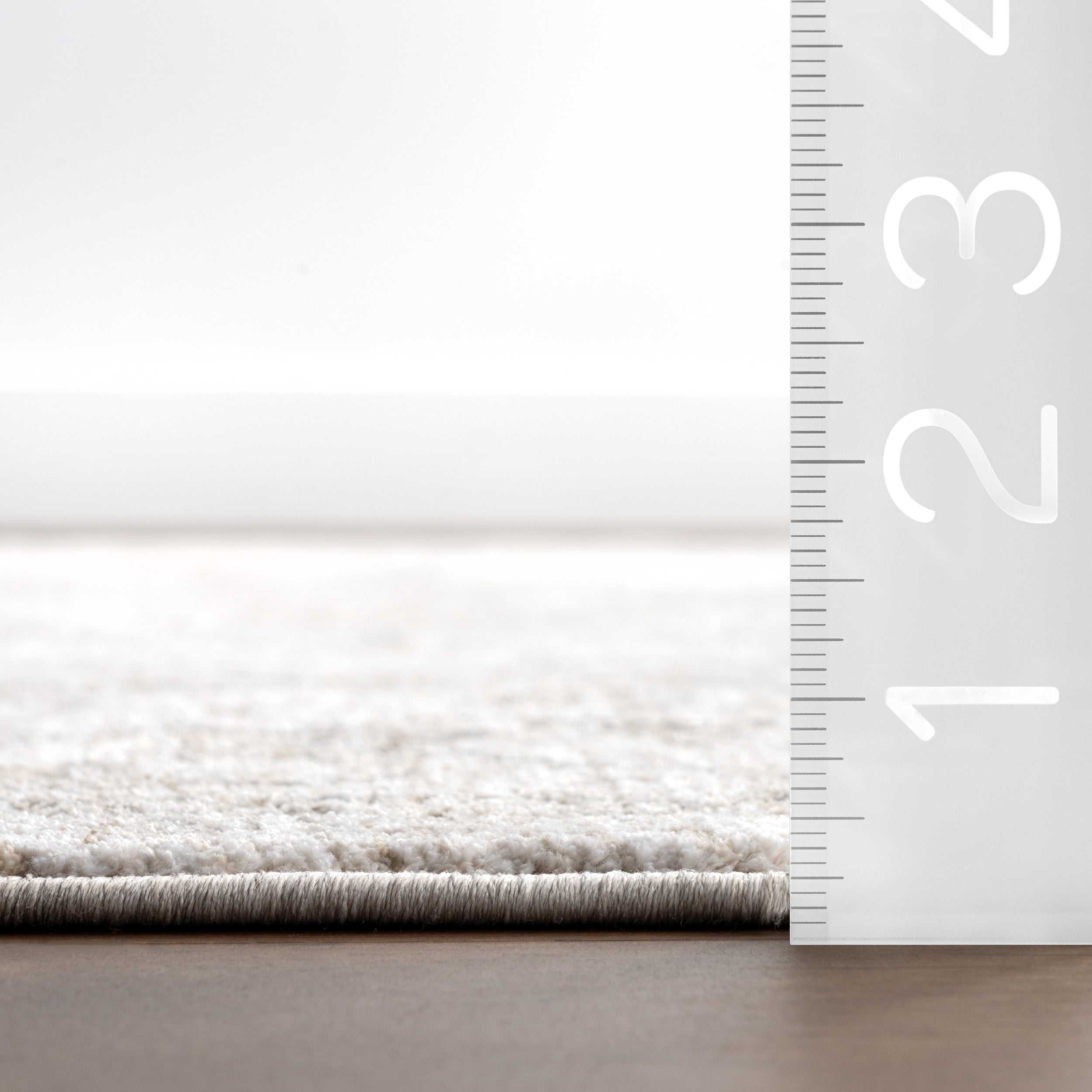 Georgianna Medallion Fringe Area Rug - Image 3