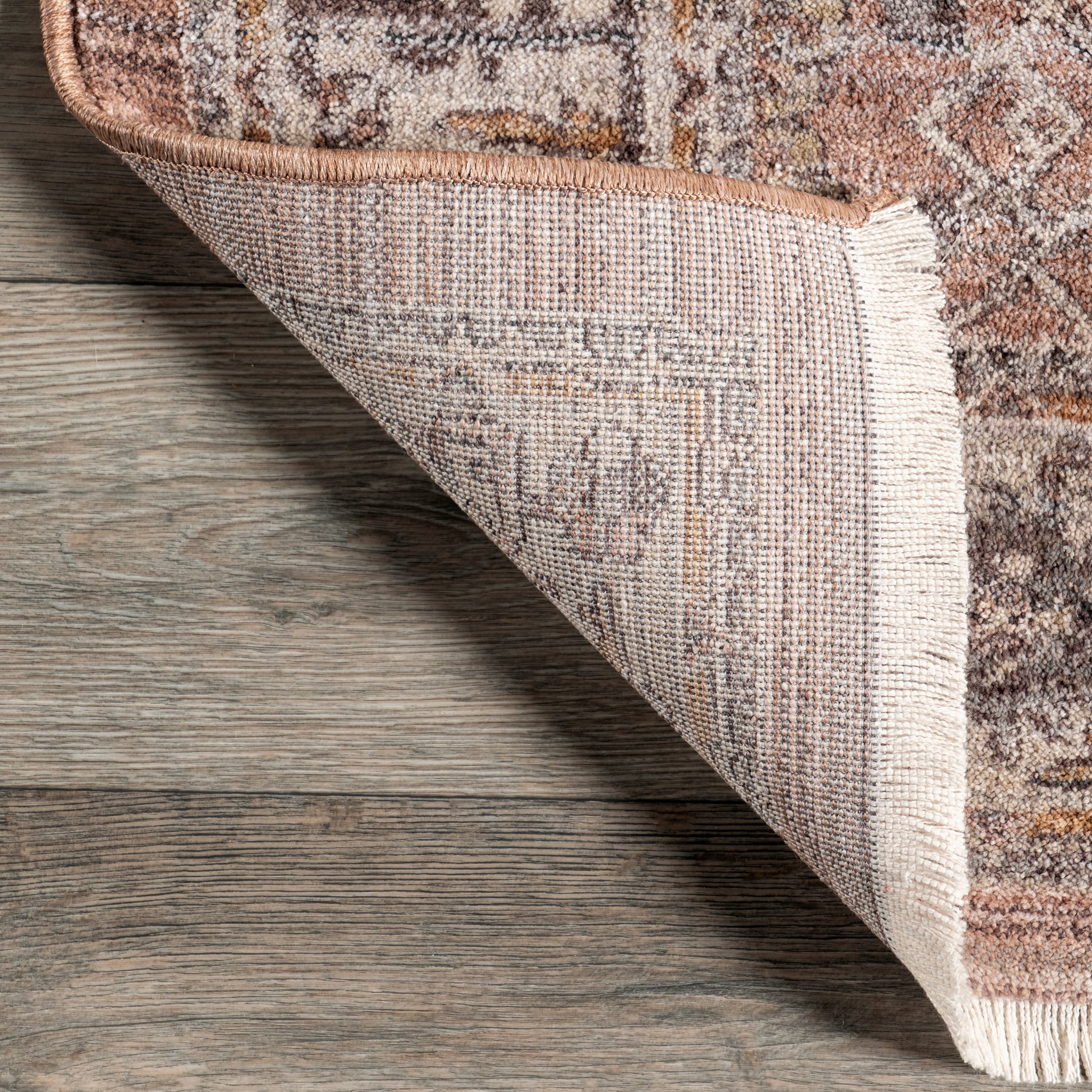 Sorsha Persian Traditional Fringe Area Rug - Image 7