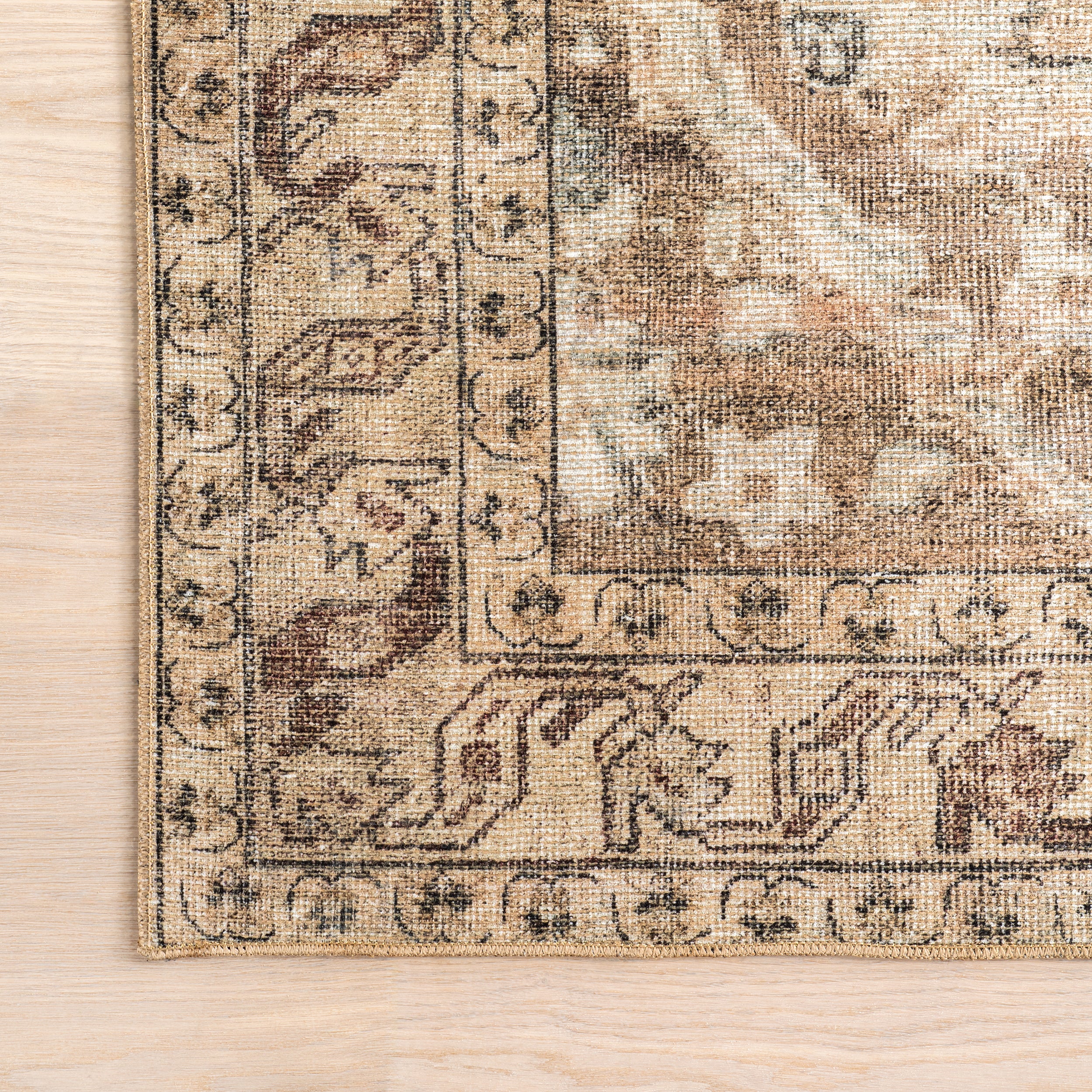 Hillstone Collection Ahmeira Traditional Vintage Medallion Area Rug - Image 6
