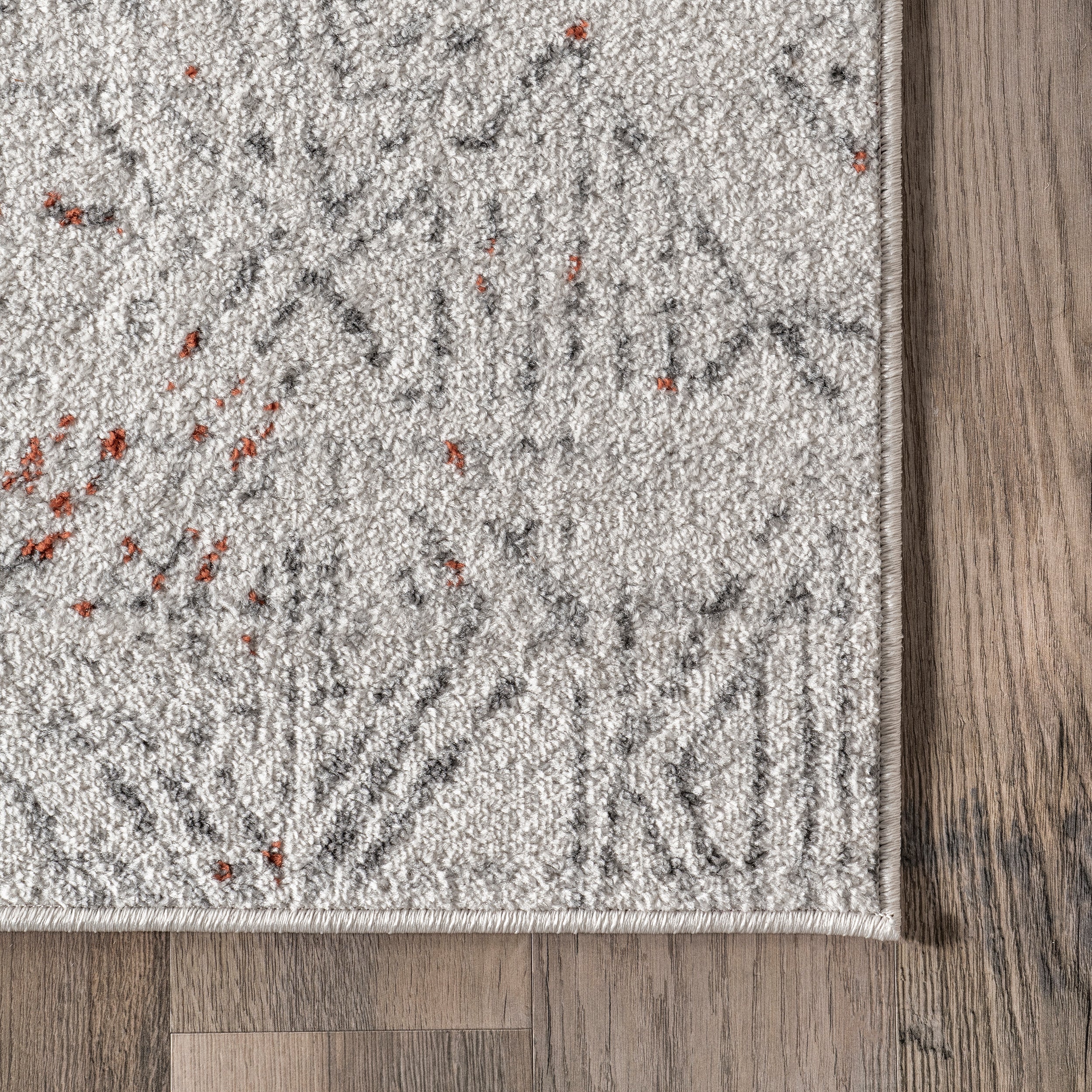 Elizabeth Faded Geometric Area Rug - Image 5