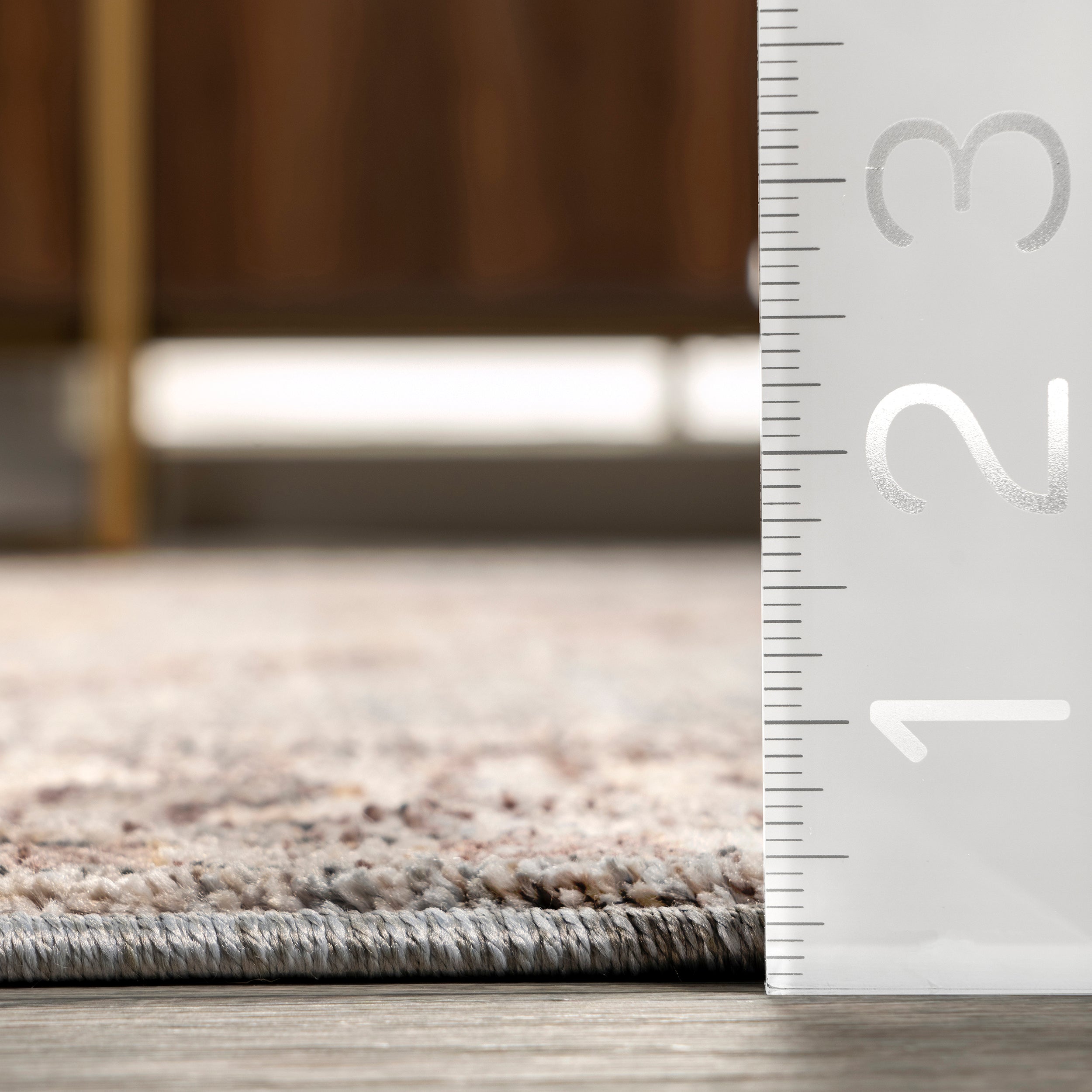 Zelie Traditional Medallion Fringe Area Rug - Image 3