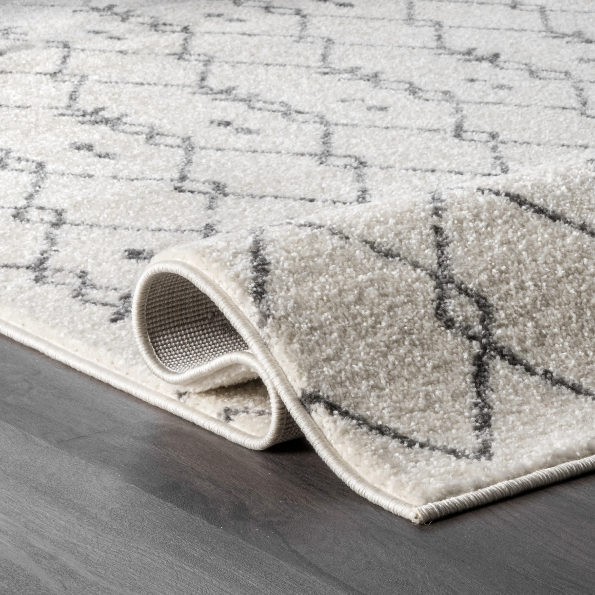 Mila Cartouche Trellis Area Rug - Image 4