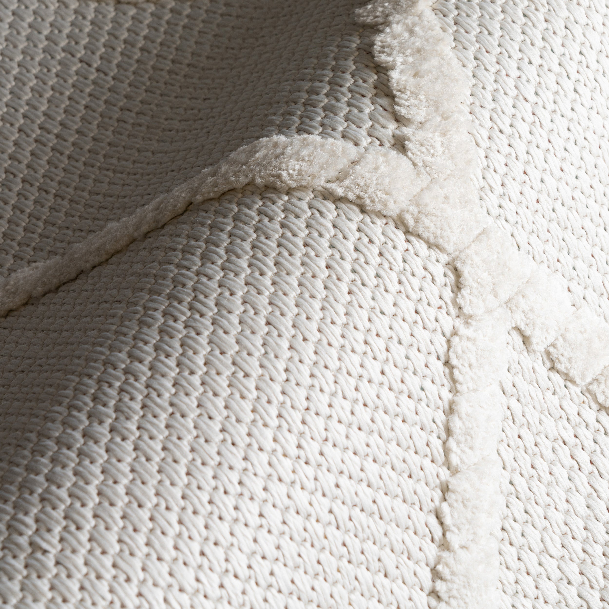 Amalie Trellis Fringe Area Rug - Image 5