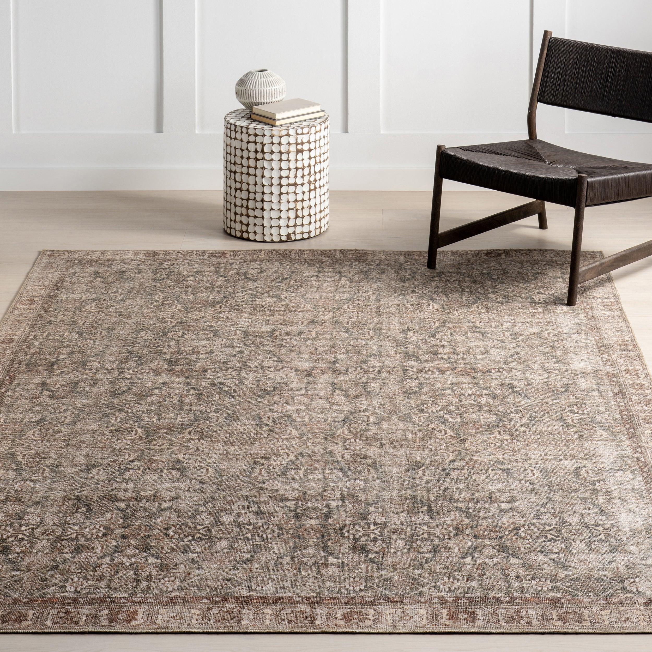 Hillstone Collection Calianna Traditional Vintage Medallion Area Rug - Image 9