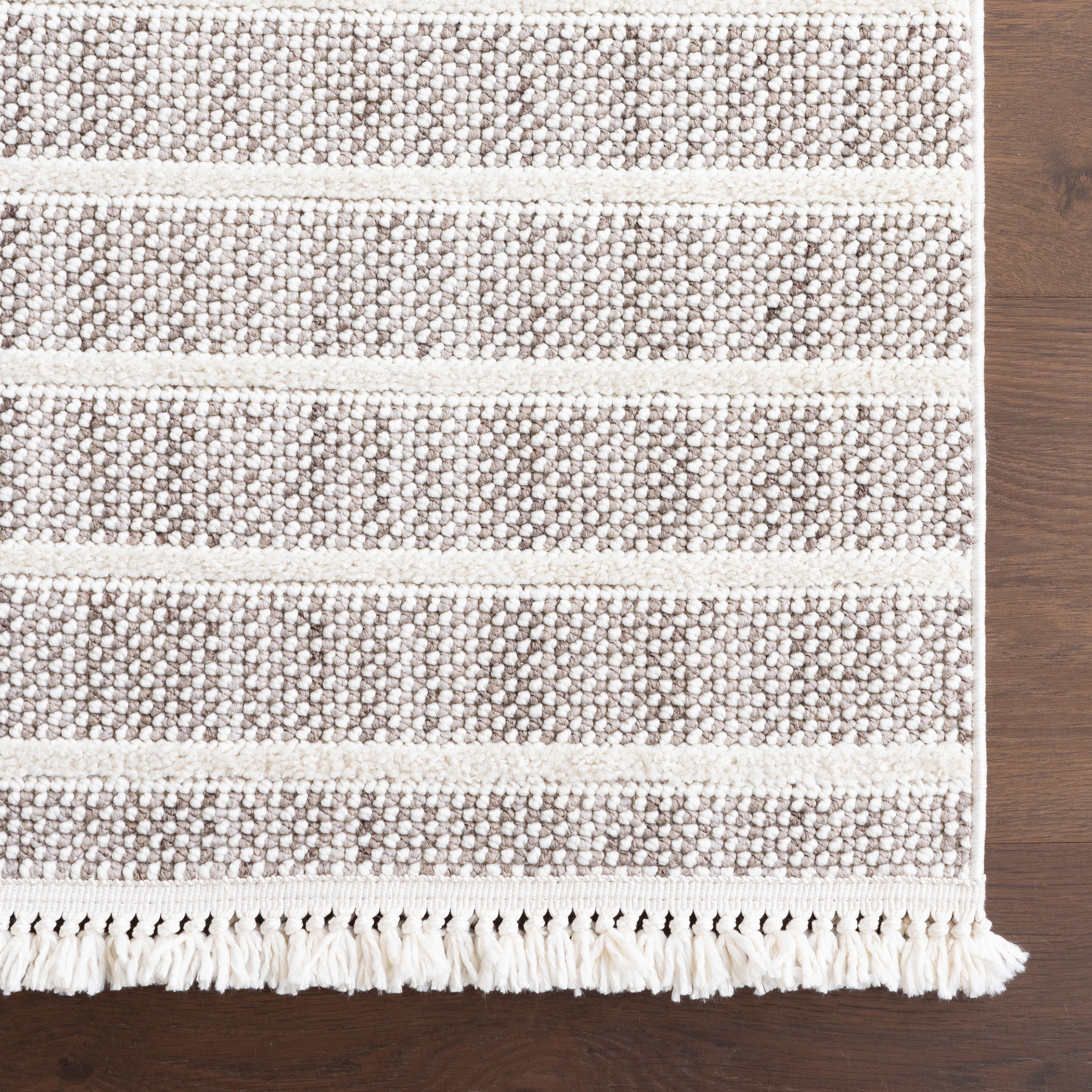Lucretia Striped Tassels Area Rug - Image 6