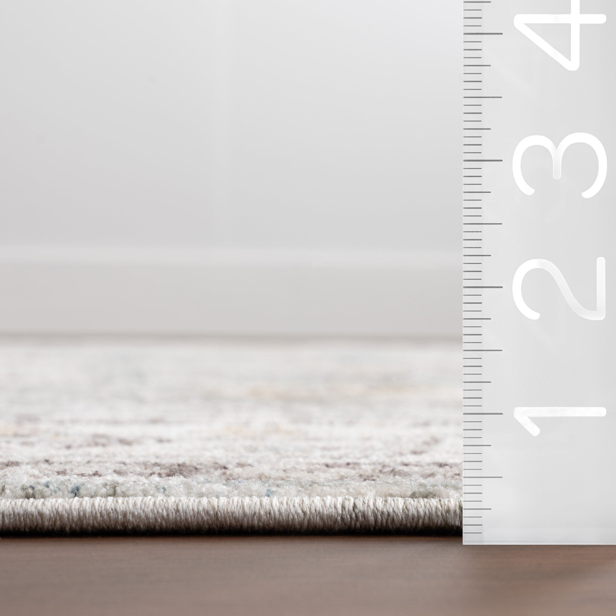 Delvina Vintage Traditional Medallion Area Rug - Image 3