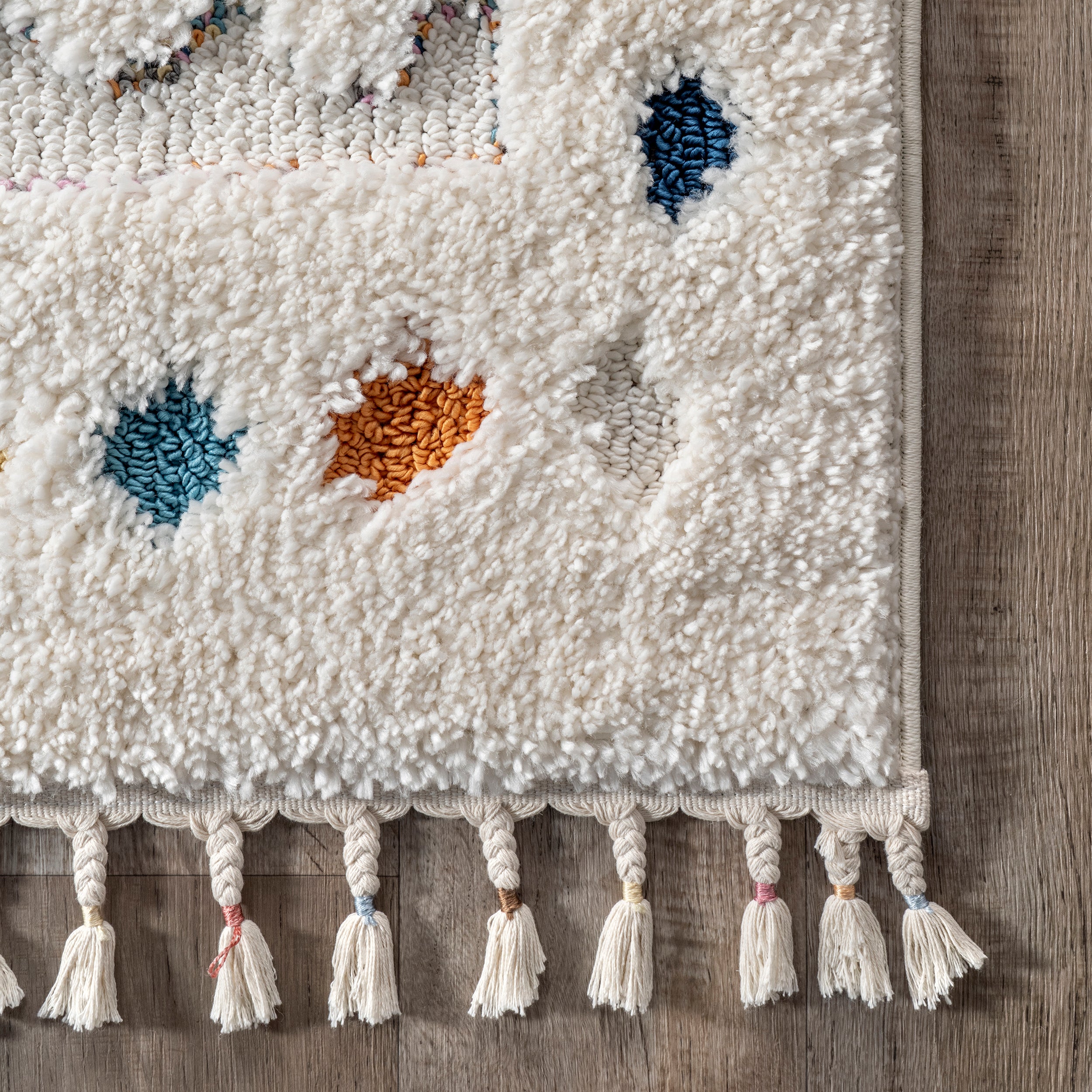Jocelyn Tribal Shag Tasseled Area Rug - Image 5