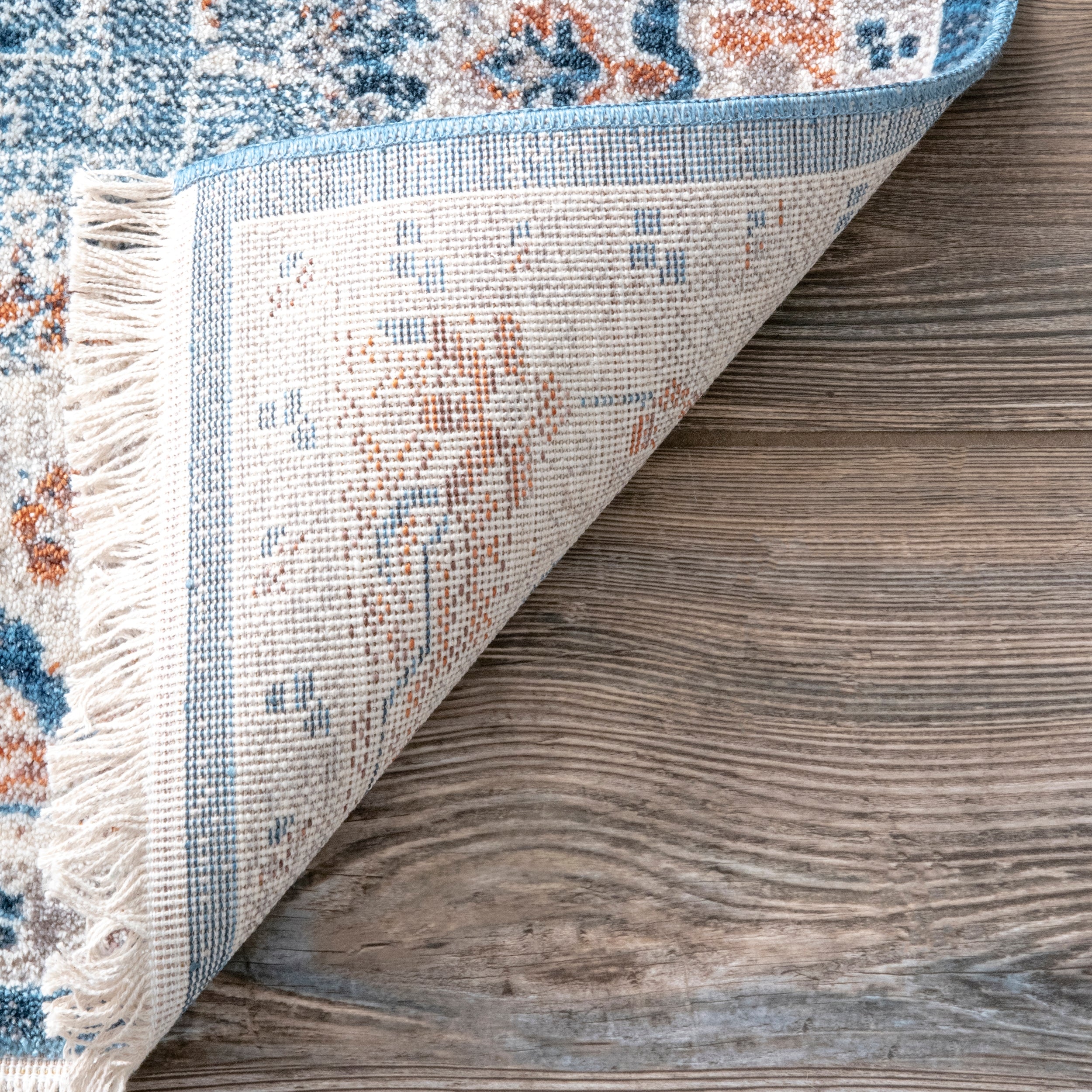 Fernanda Faded Persian Area Rug - Image 7