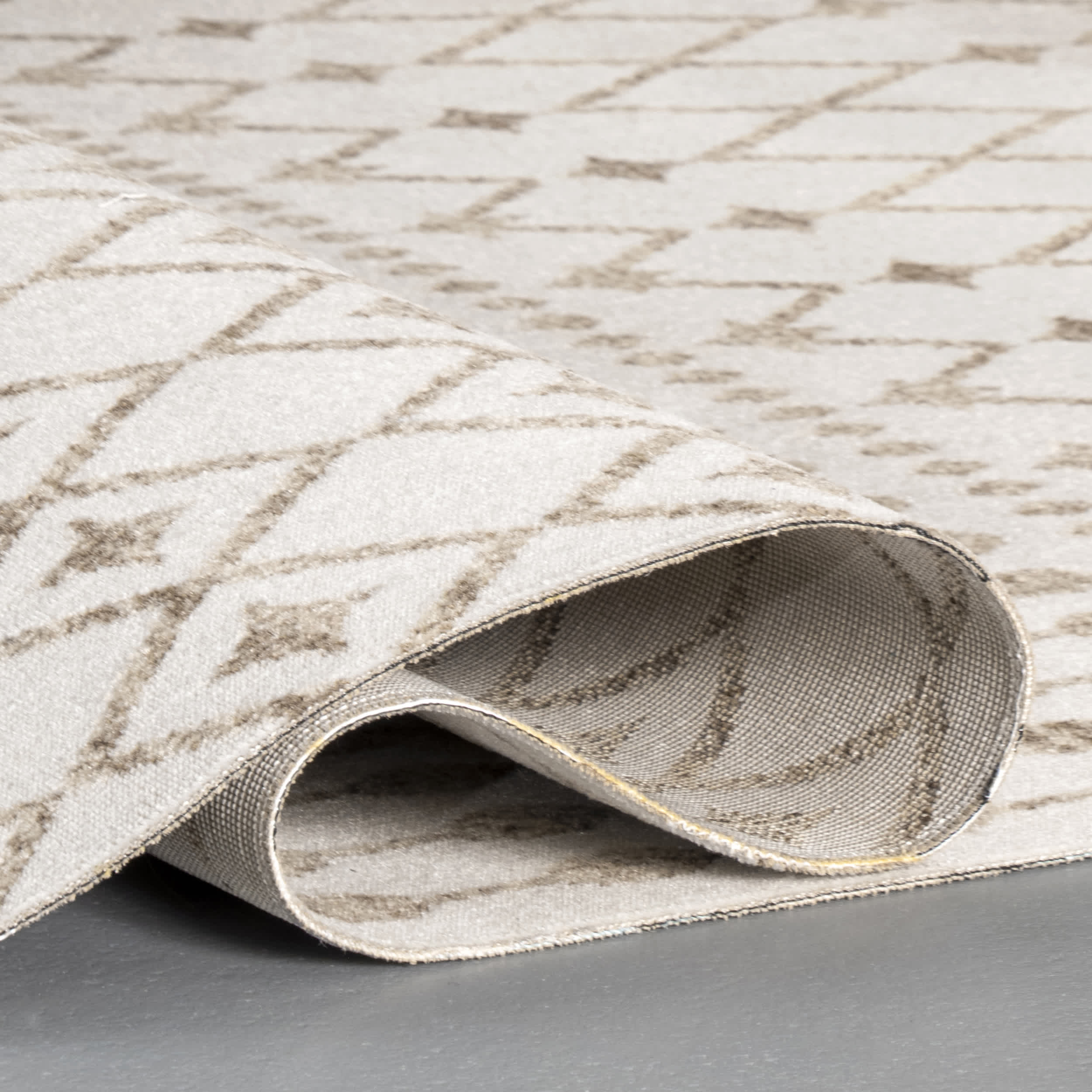 Indoor/Outdoor Trellis Rosalie Area Rug - Image 4
