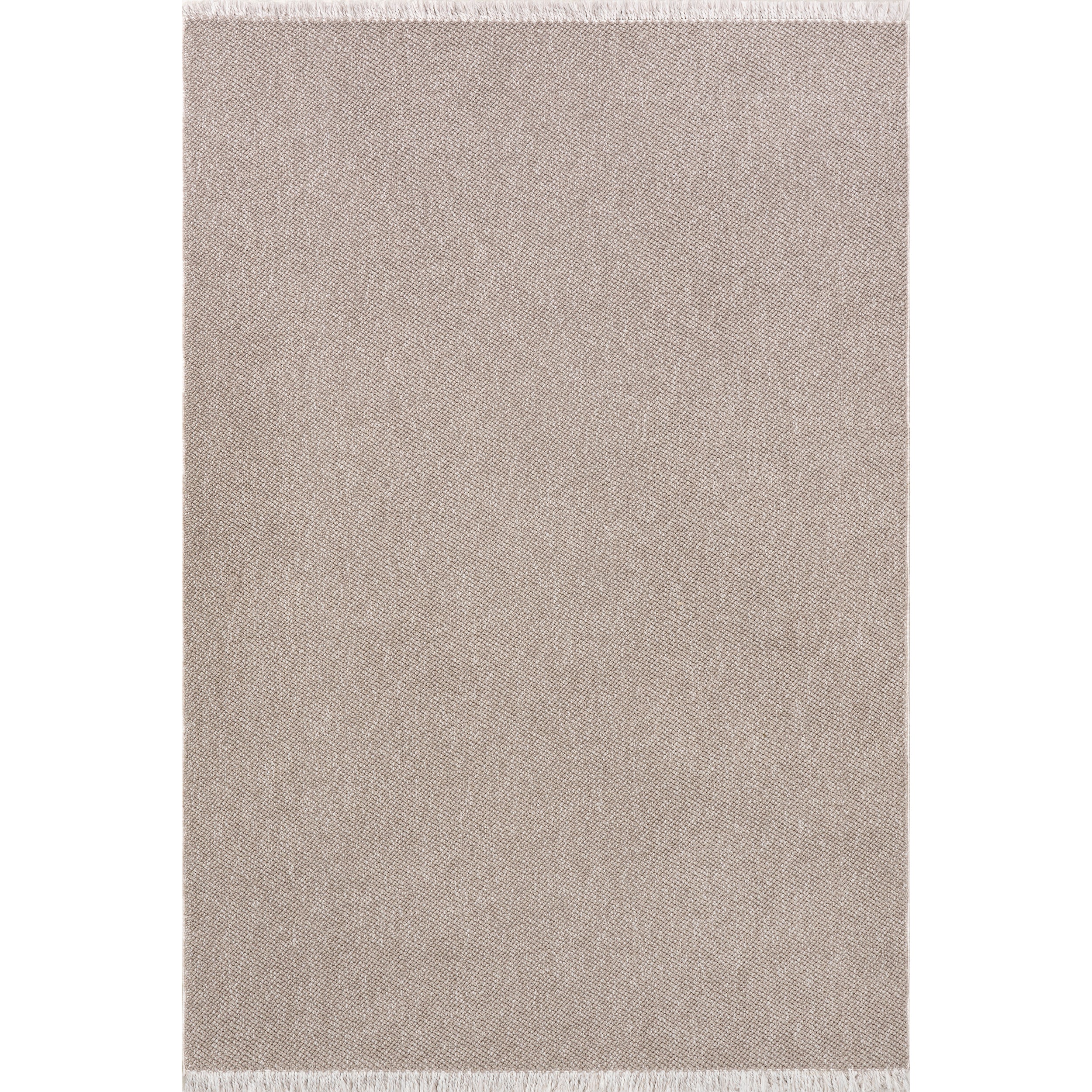 Solid Farmhouse Fringe Area Rug