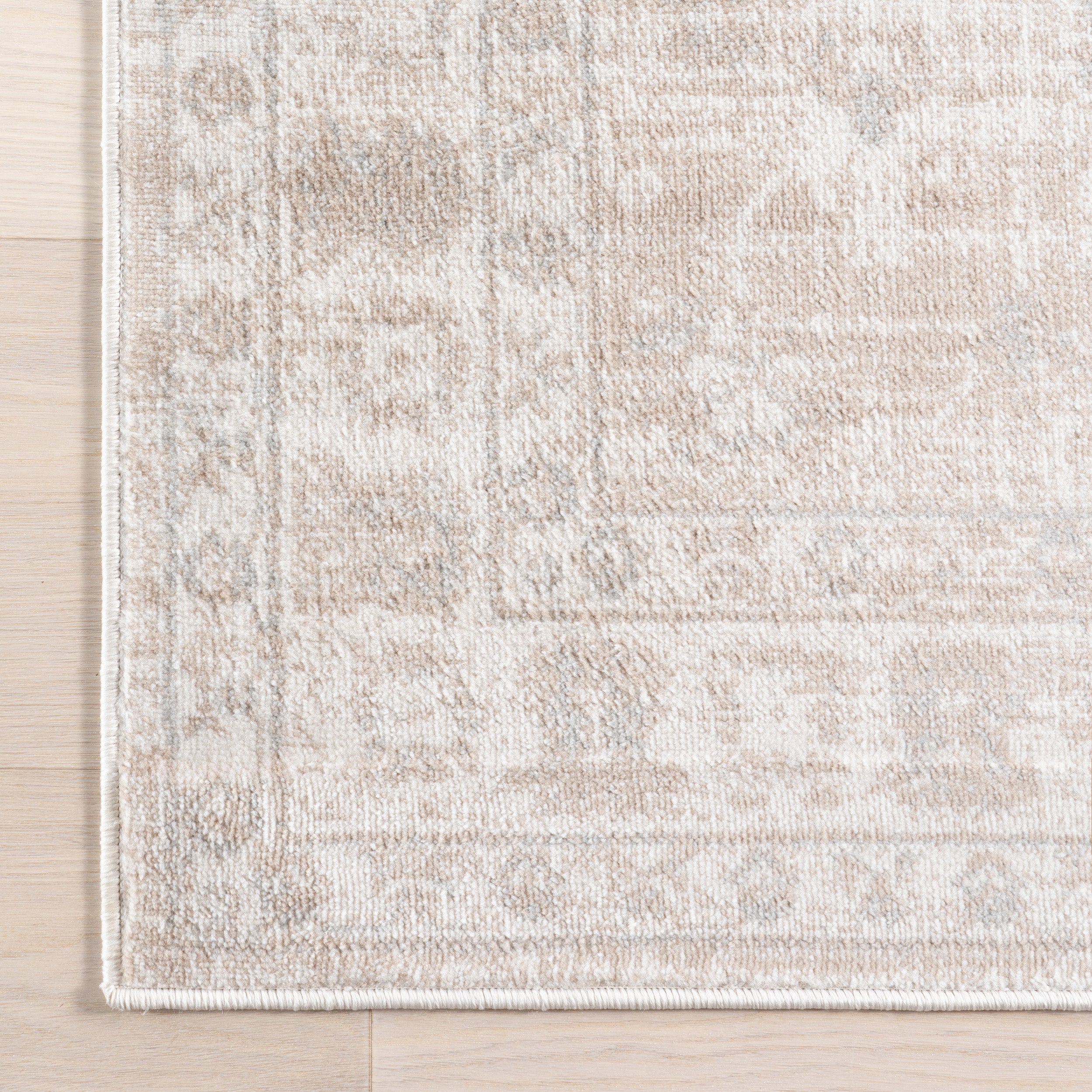 Zillah Traditional Medallion Area Rug - Image 6