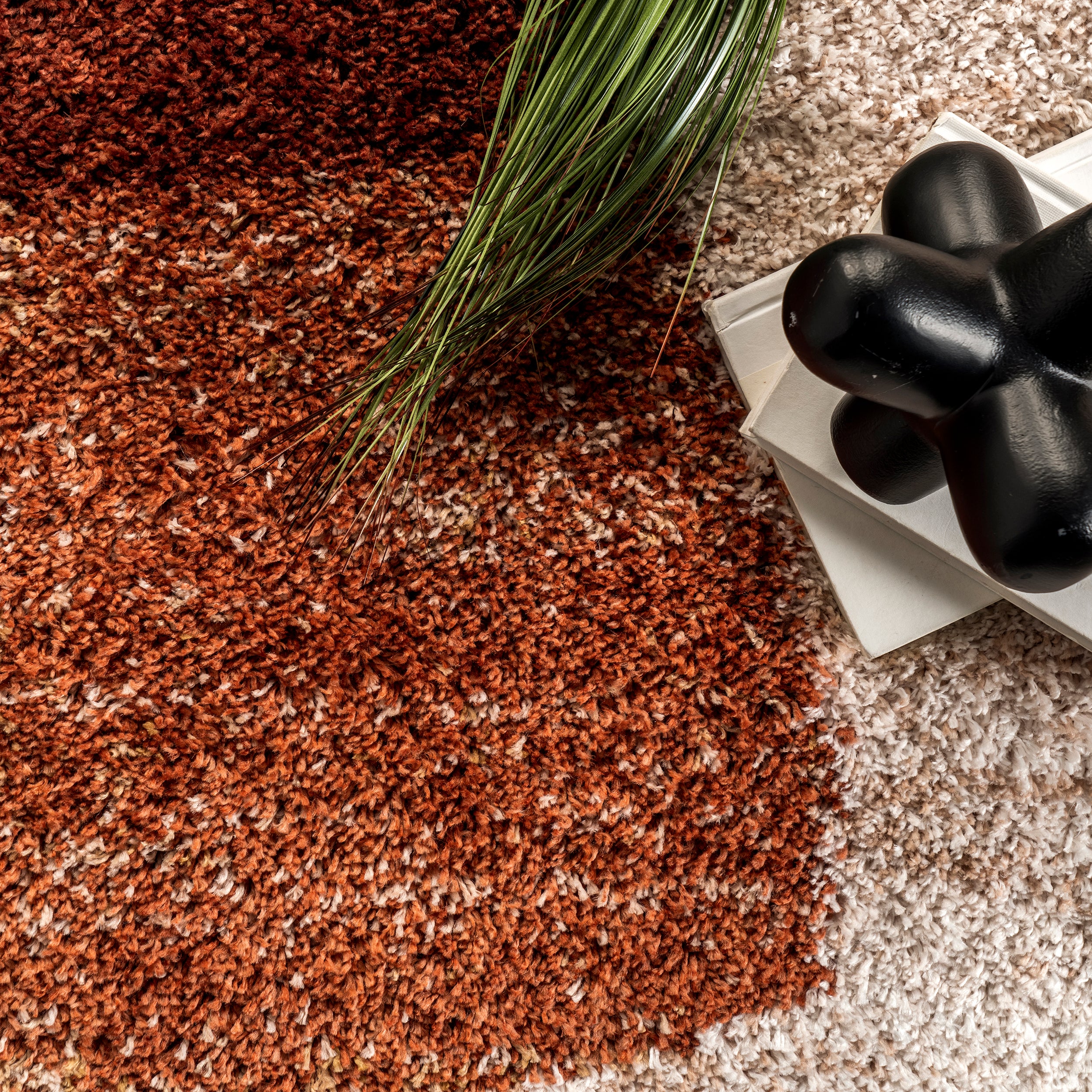 Kassidy Shaggy Contemporary Tassel Area Rug - Image 6