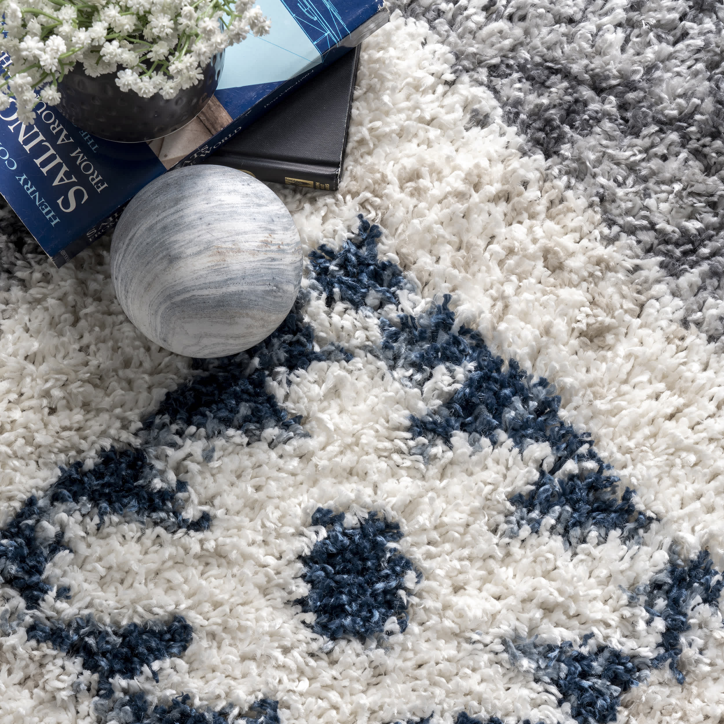 Transitional Regina Shag Area Rug - Image 19