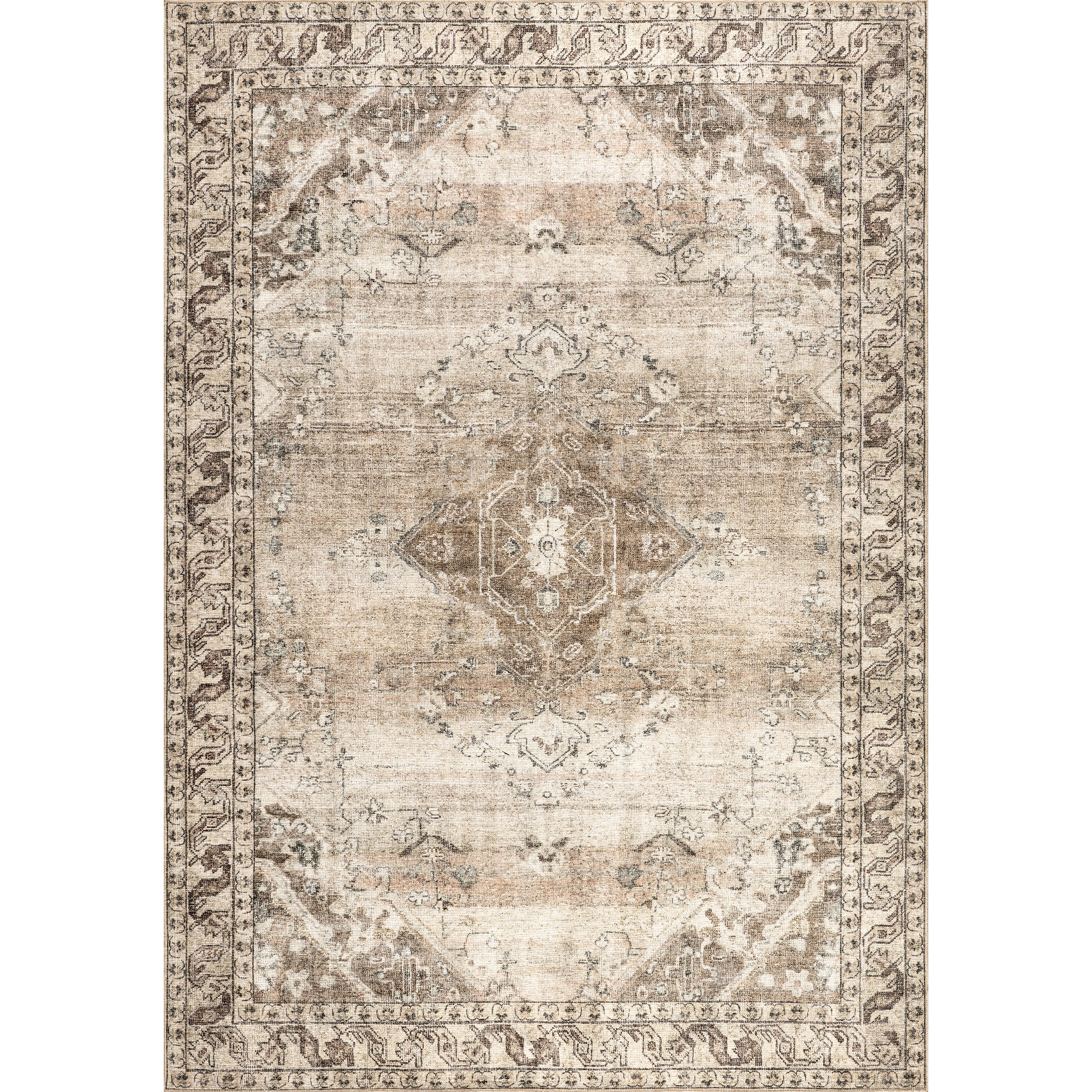 Hillstone Collection Ahmeira Traditional Vintage Medallion Area Rug