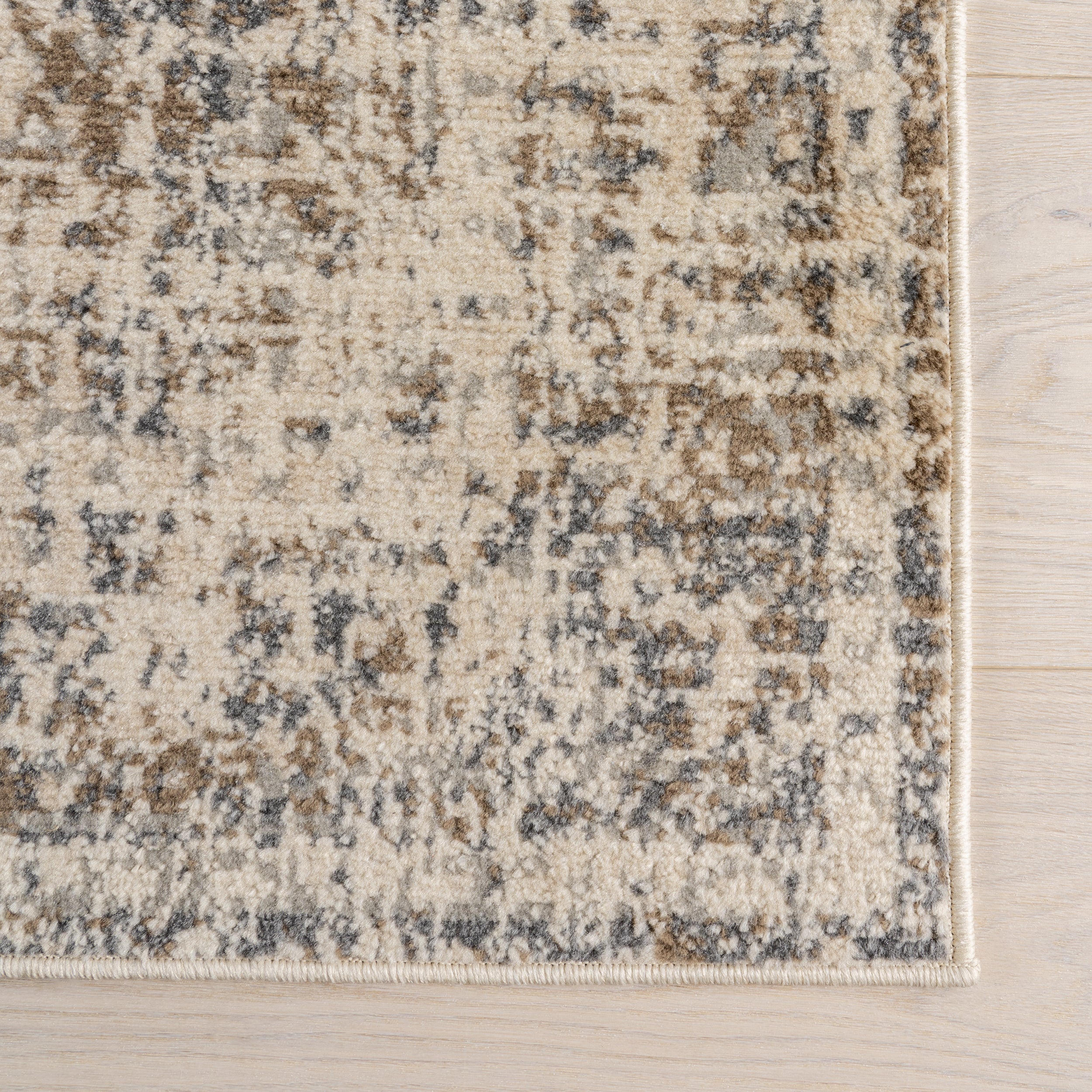 Betania Faded Medallion Area Rug - Image 6