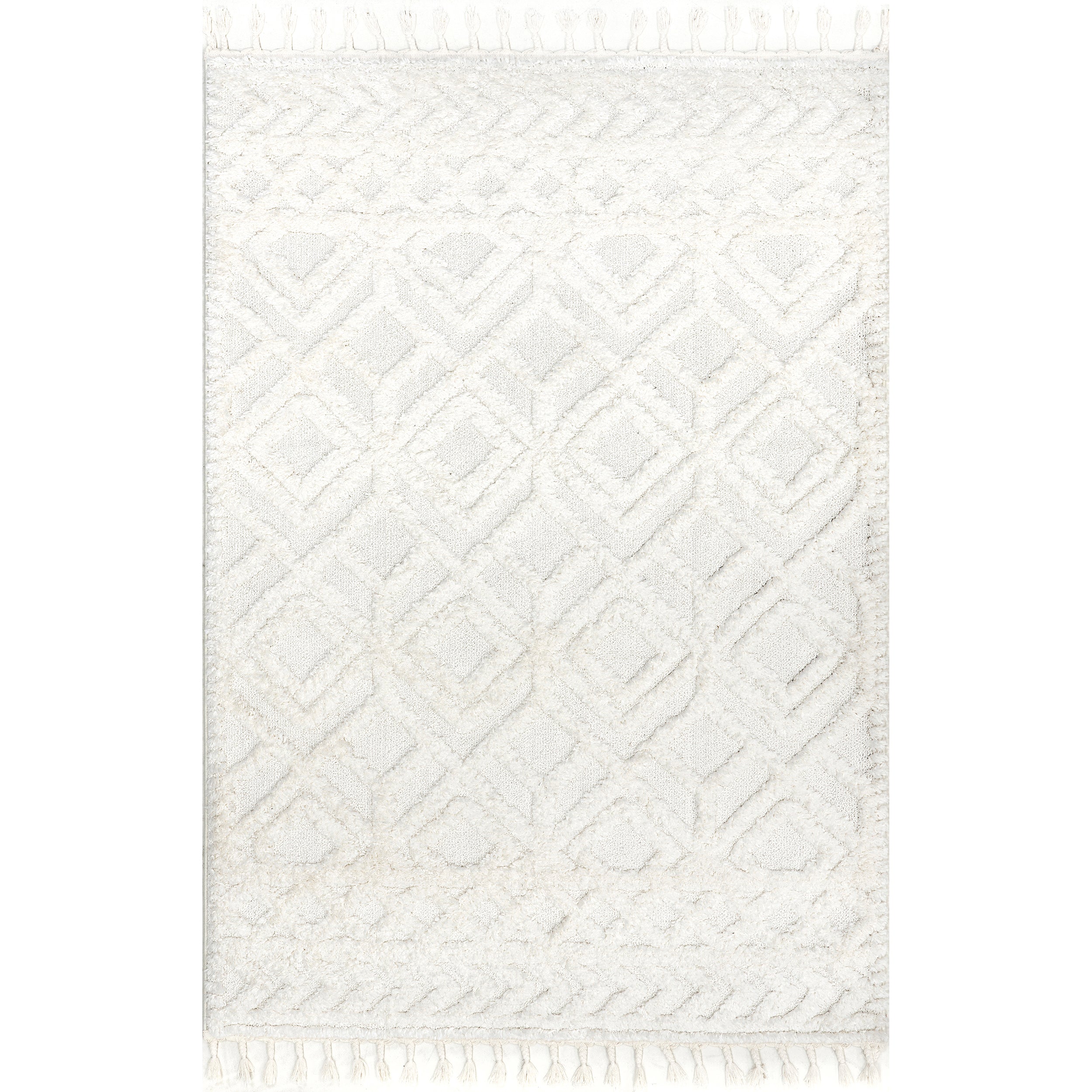 Akia Lattice High/Low Tassel Area Rug