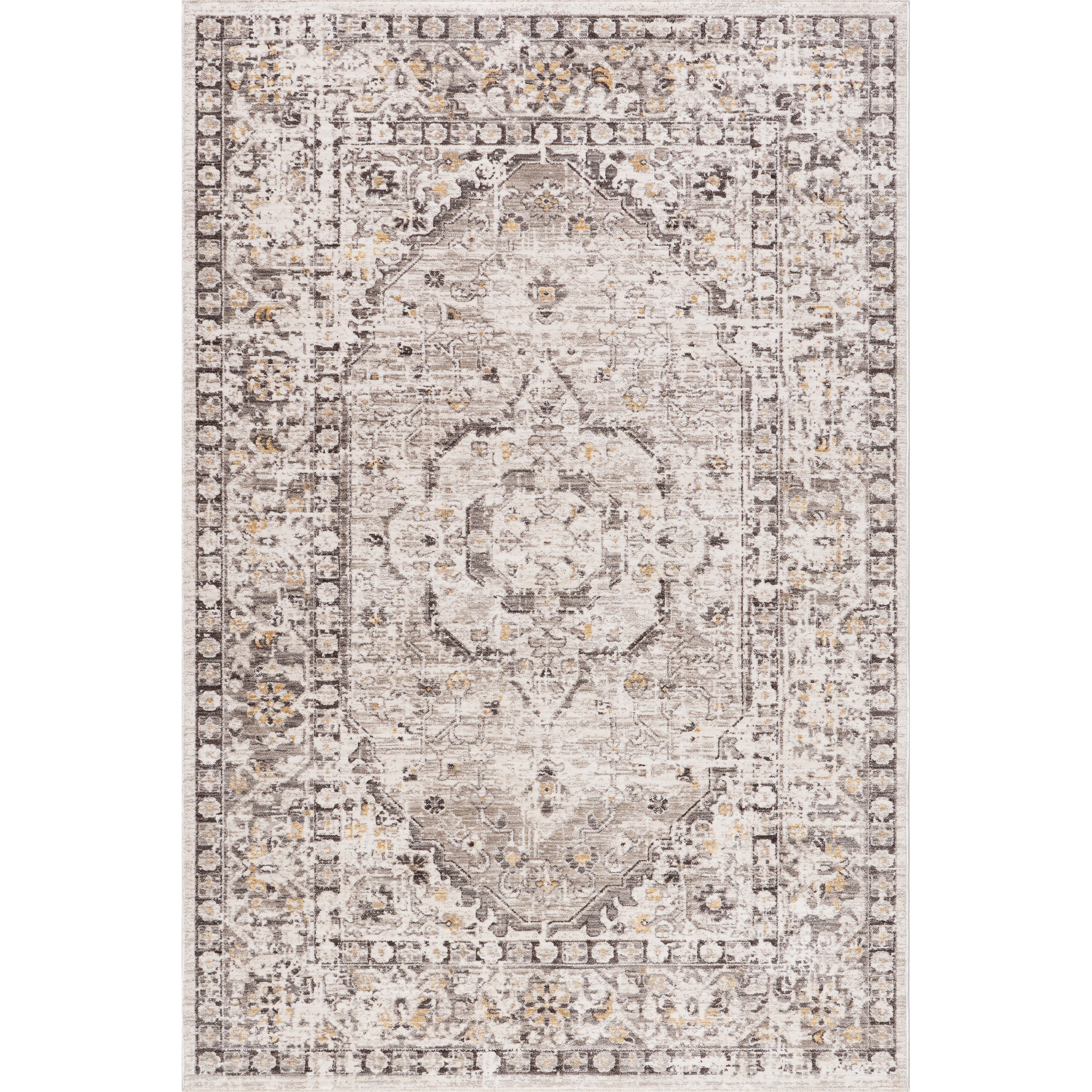 Devika Vintage Traditional Medallion Area Rug