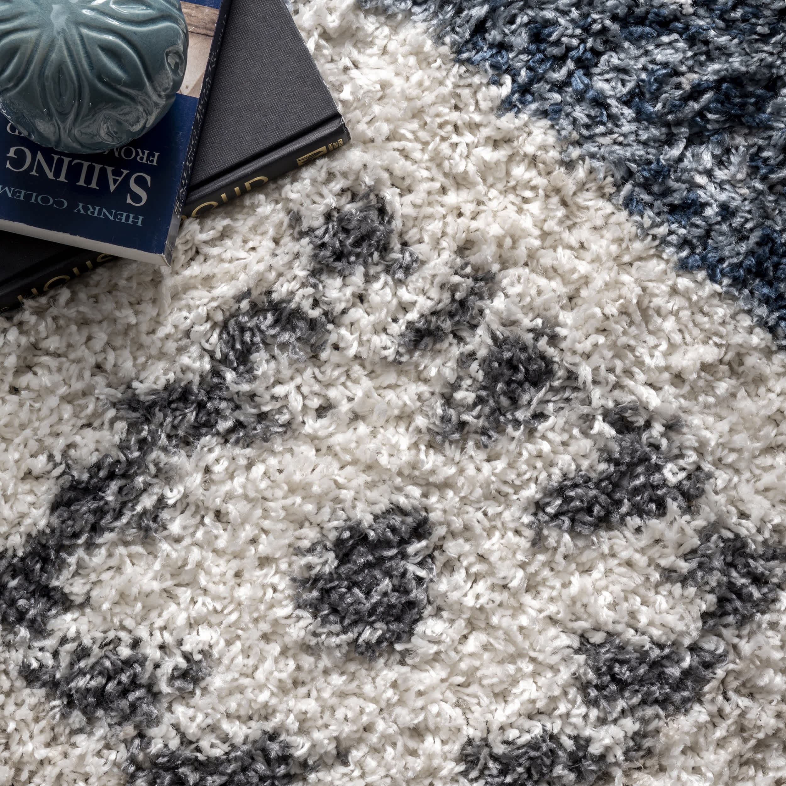 Transitional Regina Shag Area Rug - Image 6