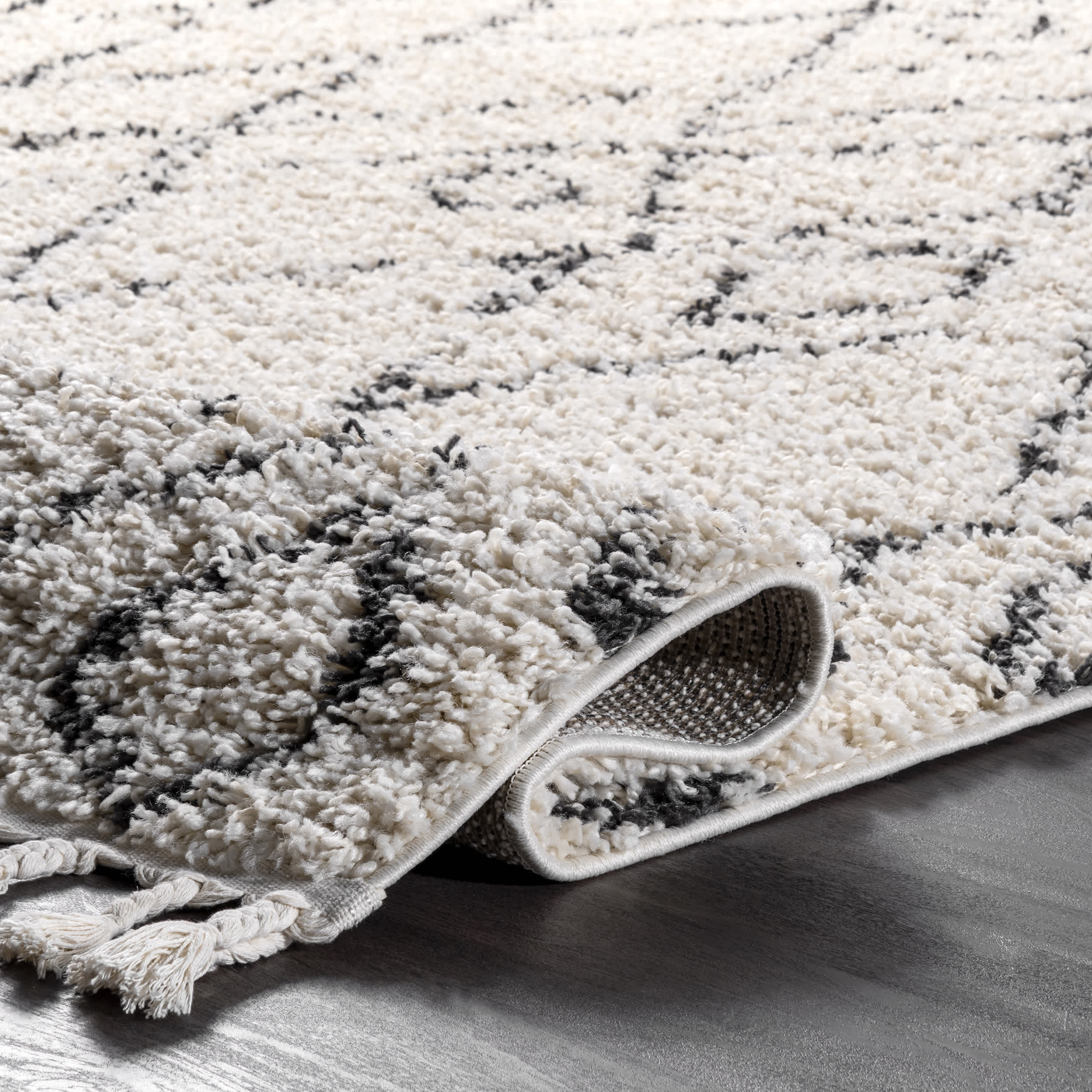 Nieves Moroccan Diamond Tassel Area Rug - Image 4