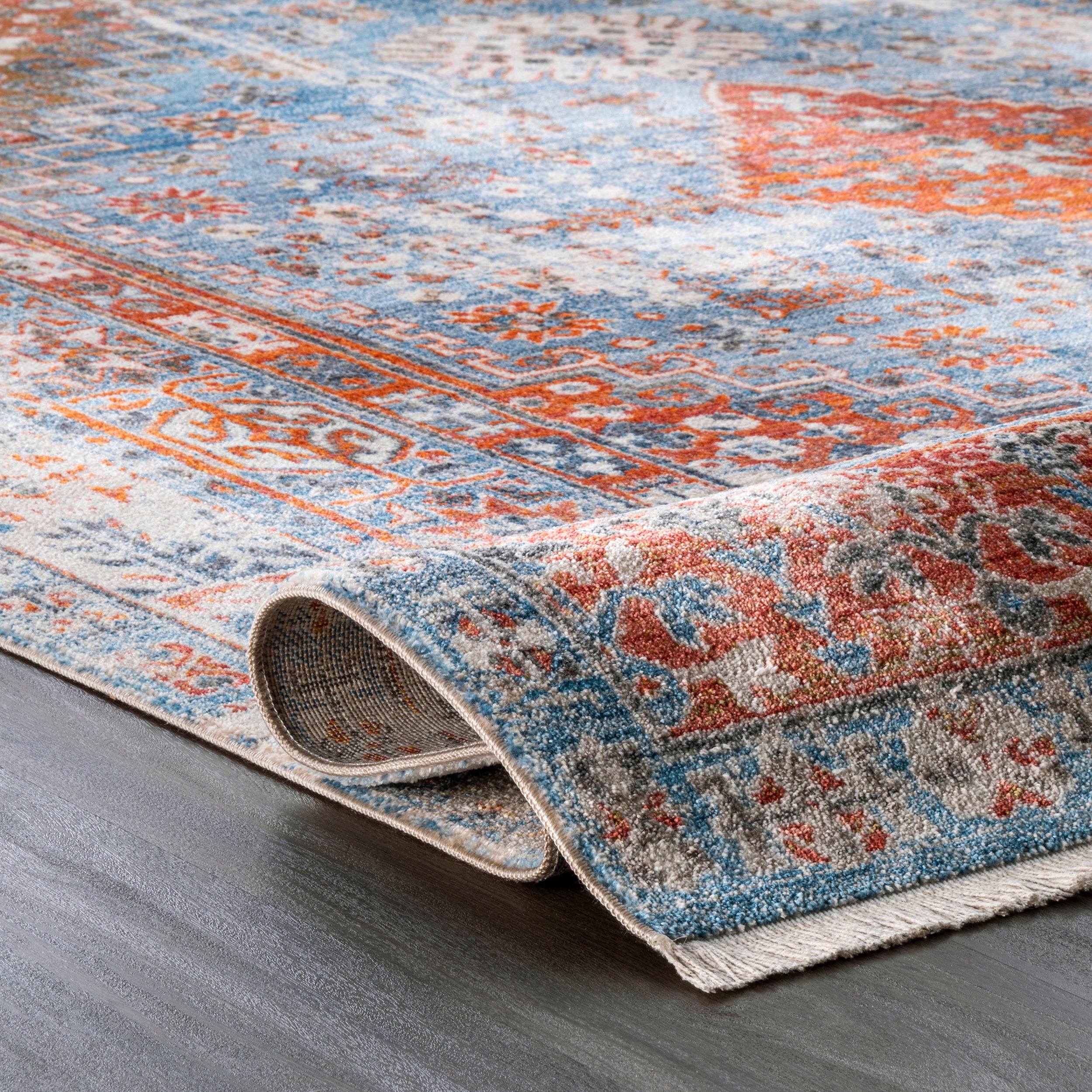 Farley Medallion Fringe Area Rug - Image 4