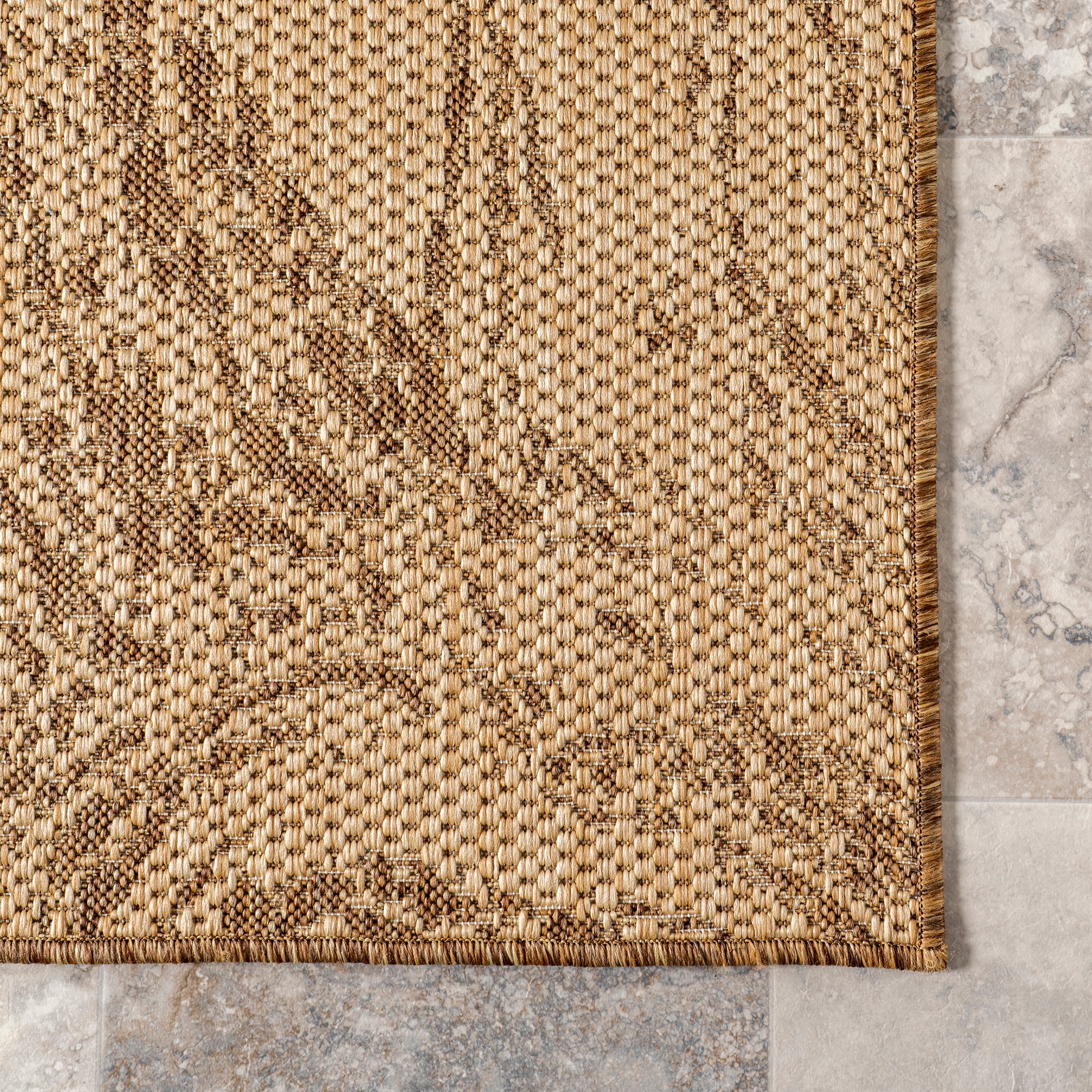 Marsha Contemporary Indoor/Outdoor Area Rug - Image 5