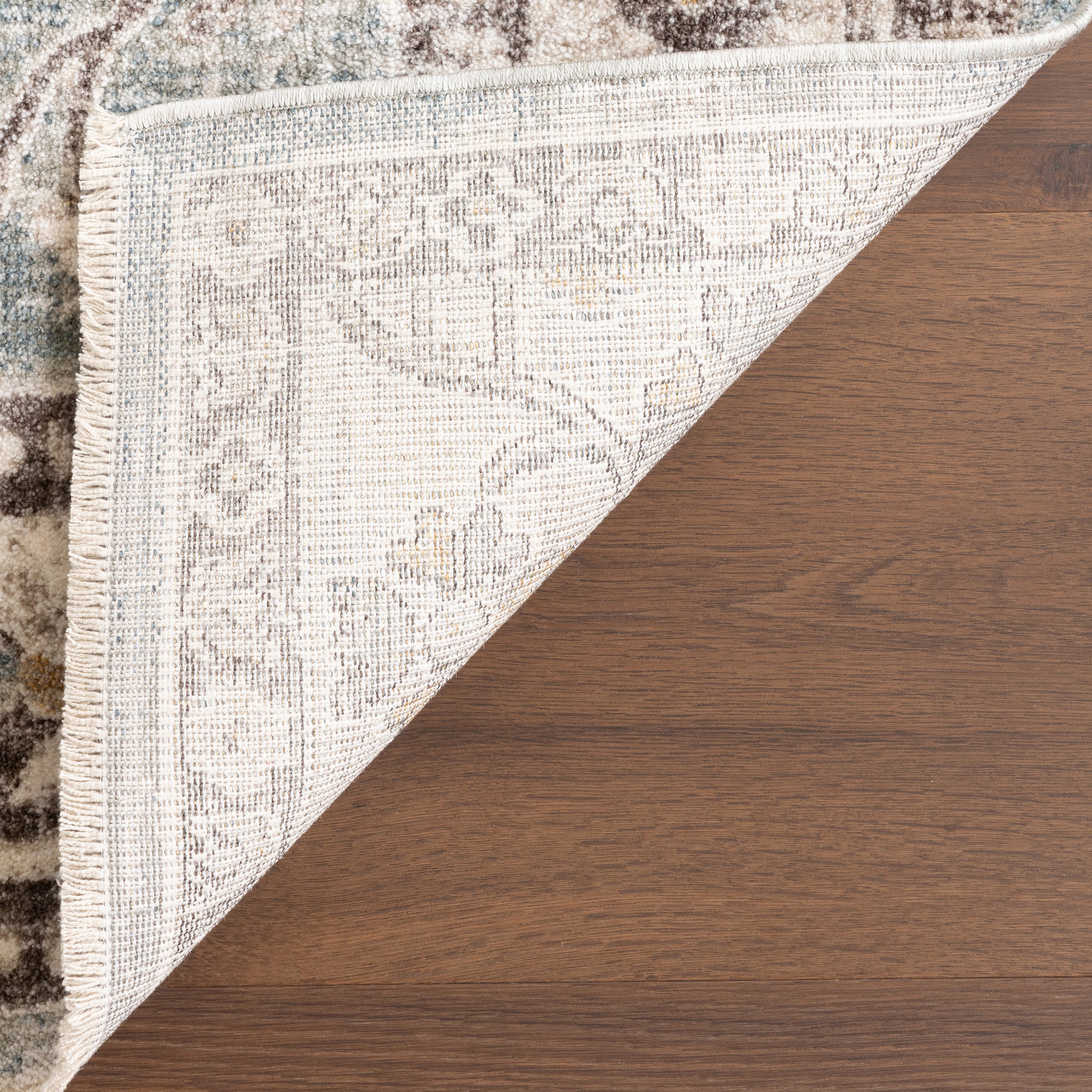 Delvina Vintage Traditional Medallion Area Rug - Image 8
