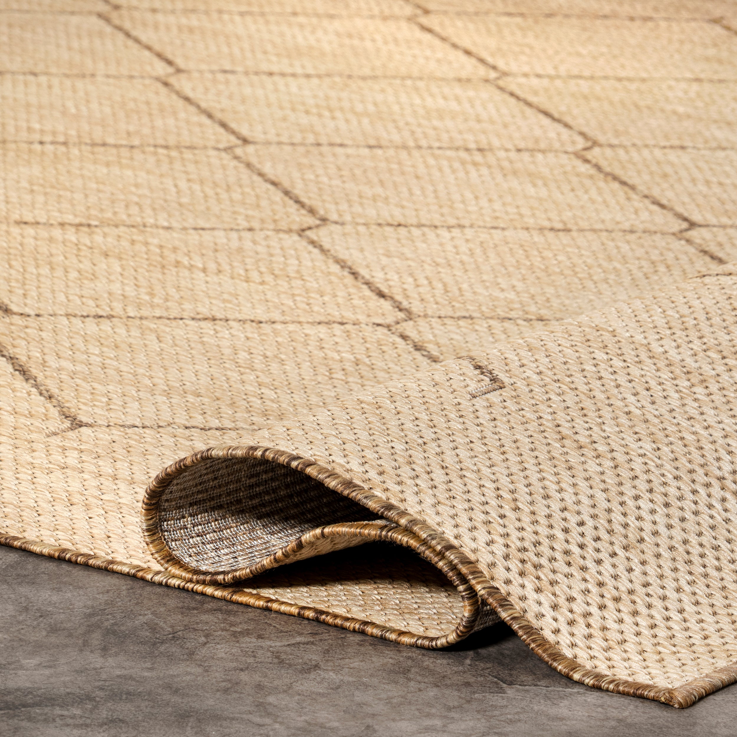 Jae Moroccan Indoor/Outdoor Area Rug - Image 4