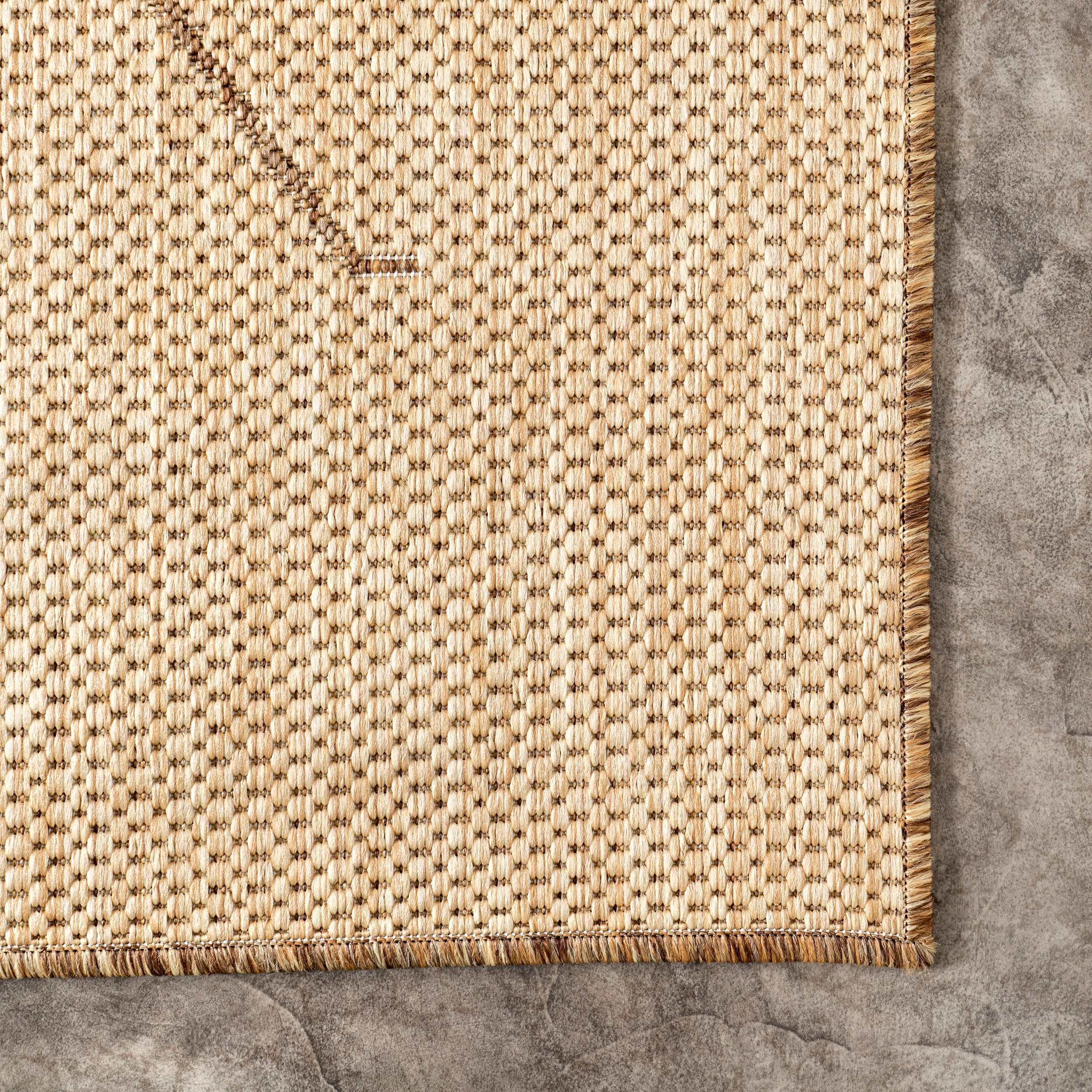 Jae Moroccan Indoor/Outdoor Area Rug - Image 5