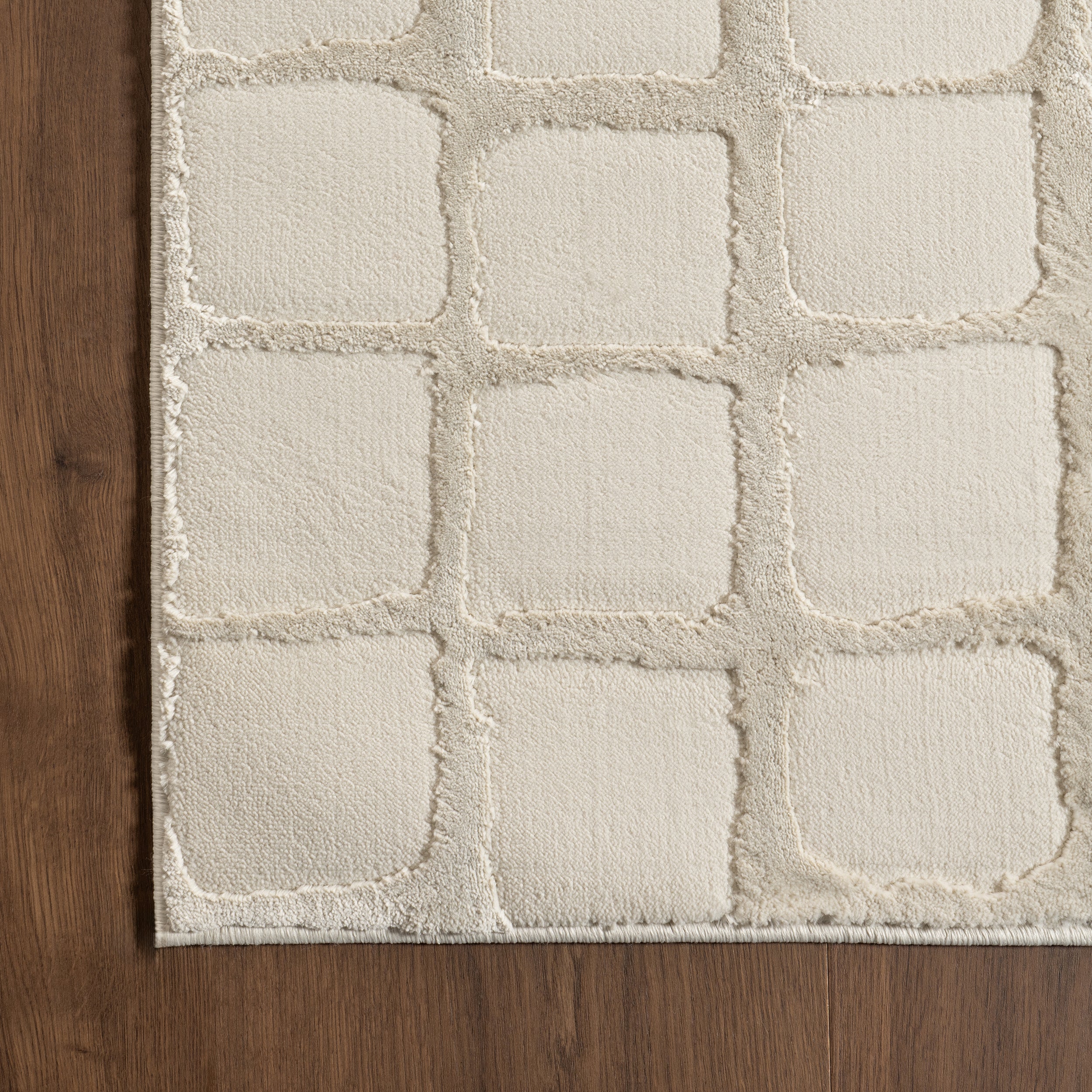 Eunice Modern Machine Washable Area Rug - Image 5