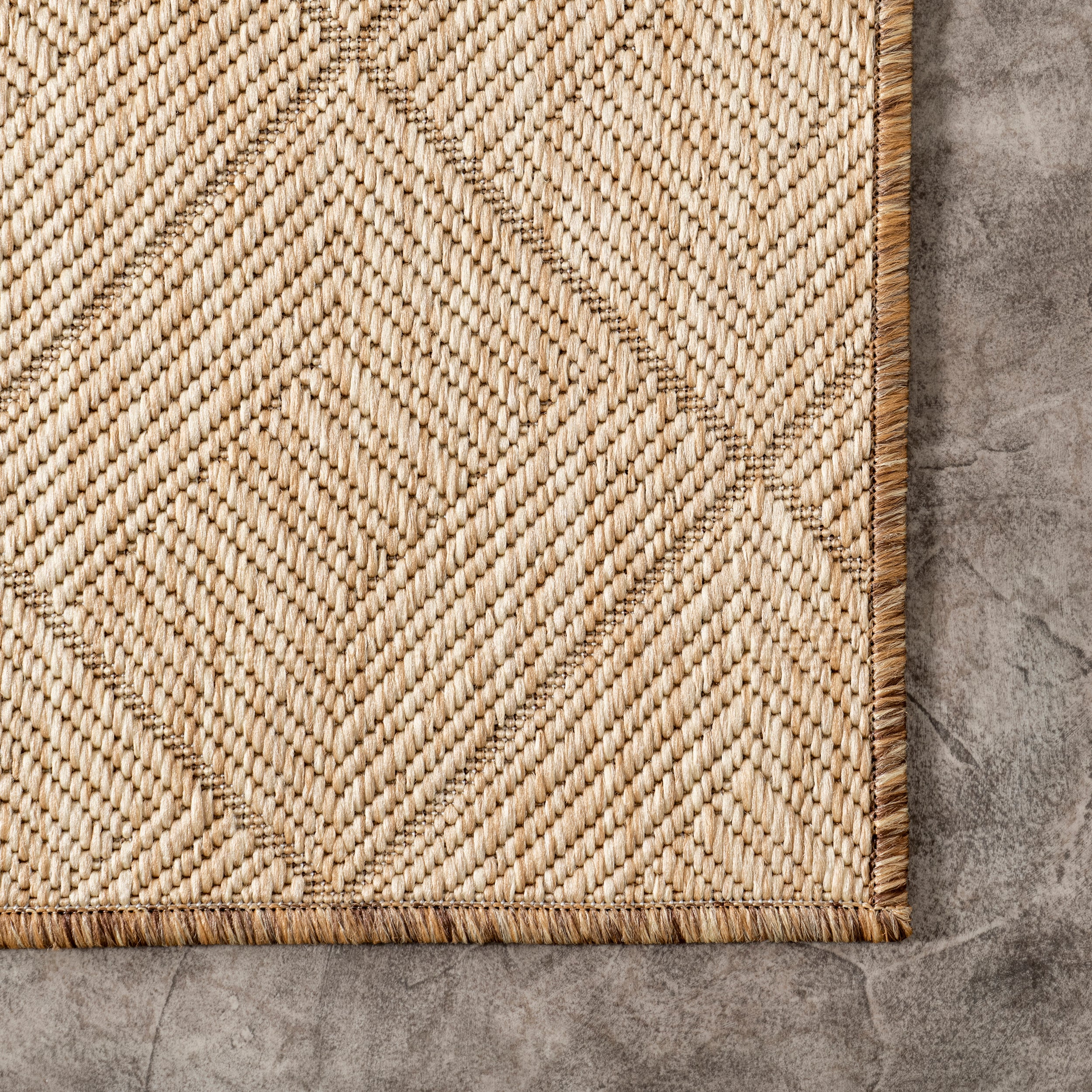 Ray Diamond Indoor/Outdoor Area Rug - Image 5