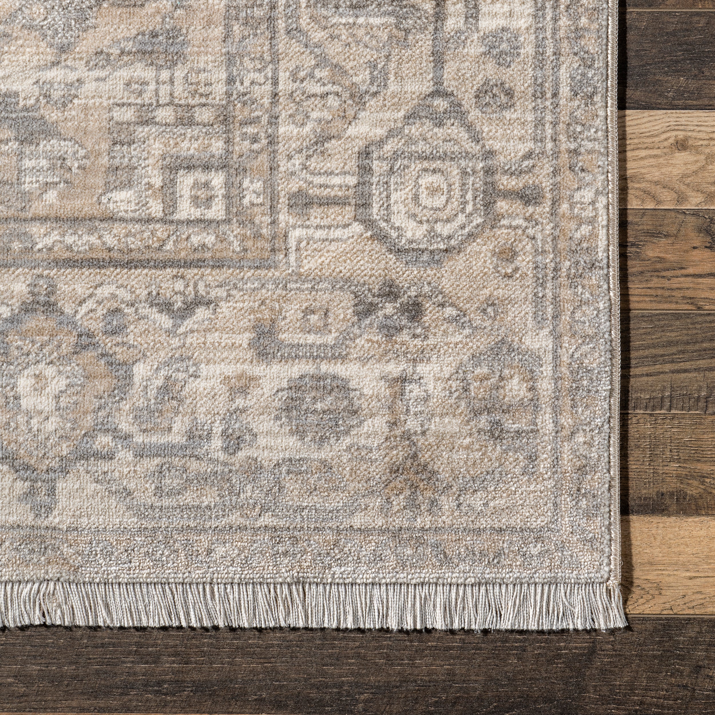 Harriet Vintage Medallion Fringe Area Rug - Image 15