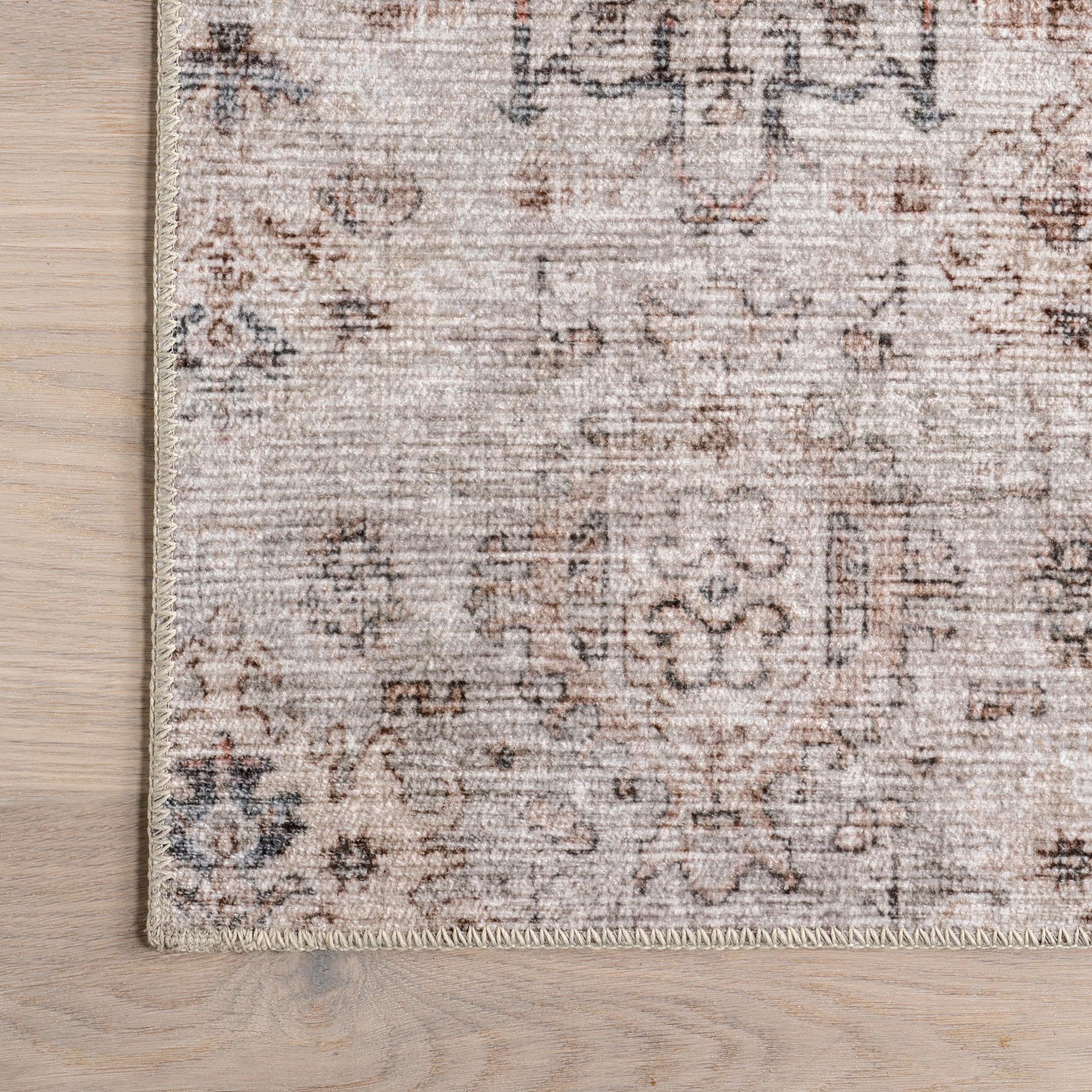 Alona Faded Medallion Stain-Resistant Machine Washable Area Rug - Image 5