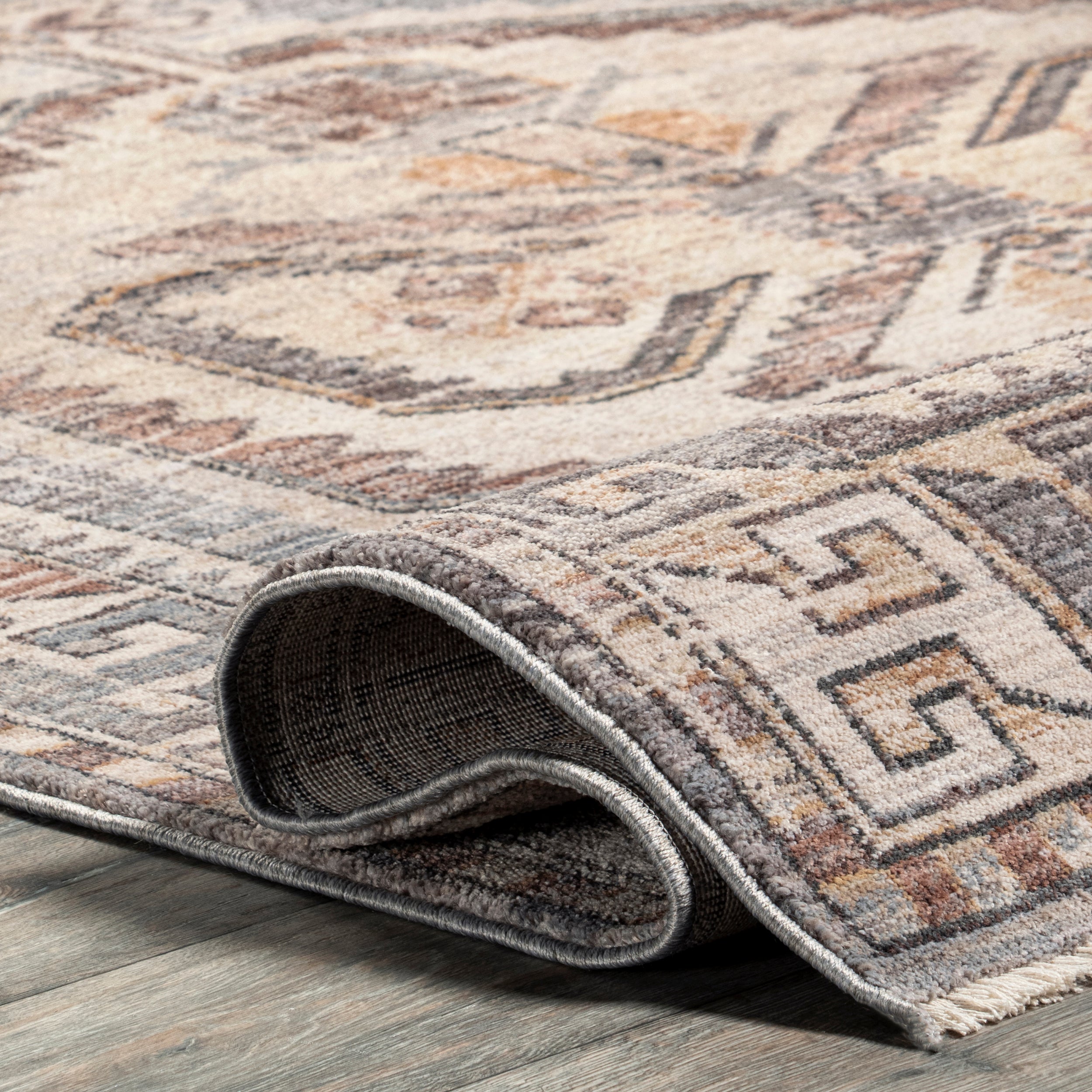 Zelie Traditional Medallion Fringe Area Rug - Image 4