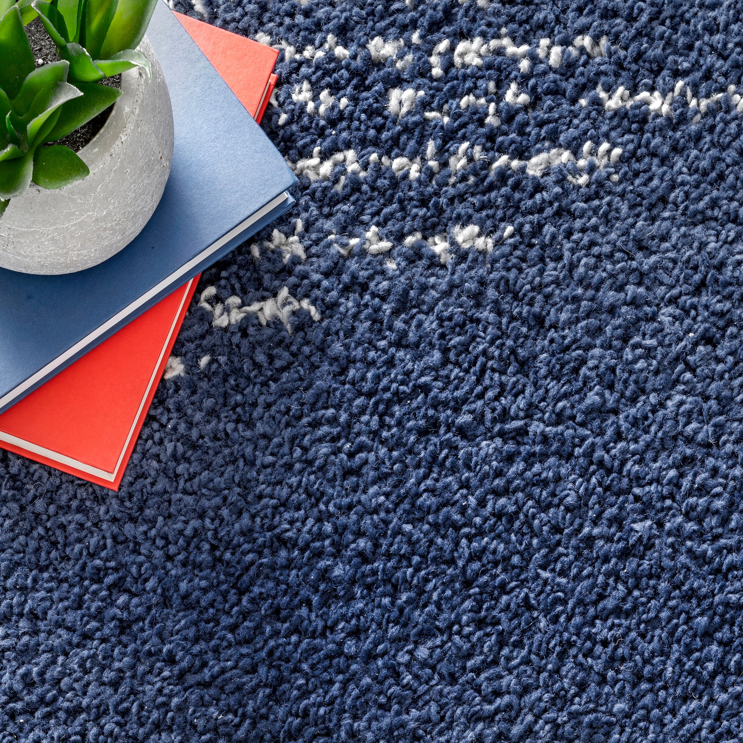 Bria Moroccan Shag Tasseled Area Rug - Image 18