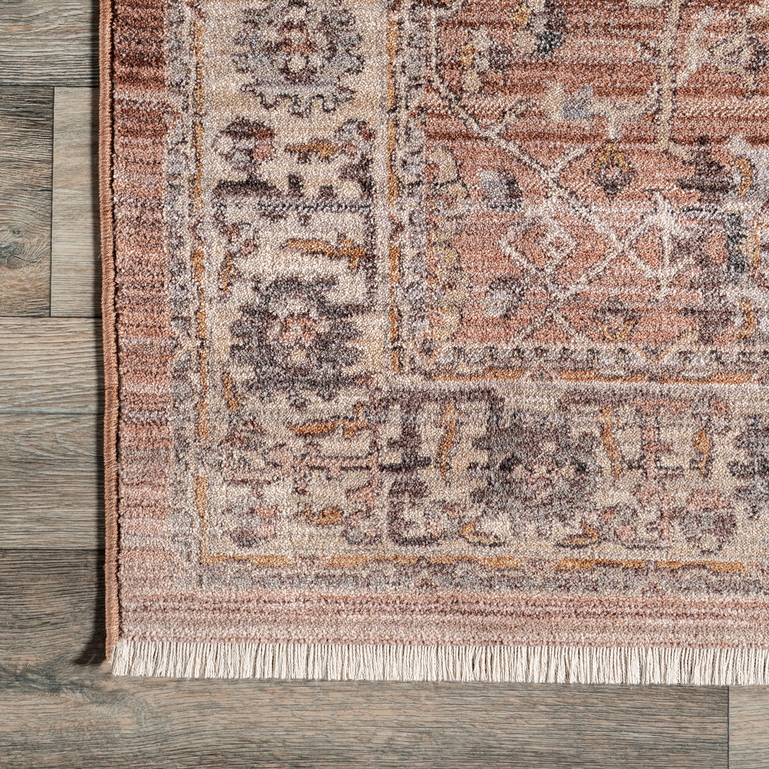 Sorsha Persian Traditional Fringe Area Rug - Image 5