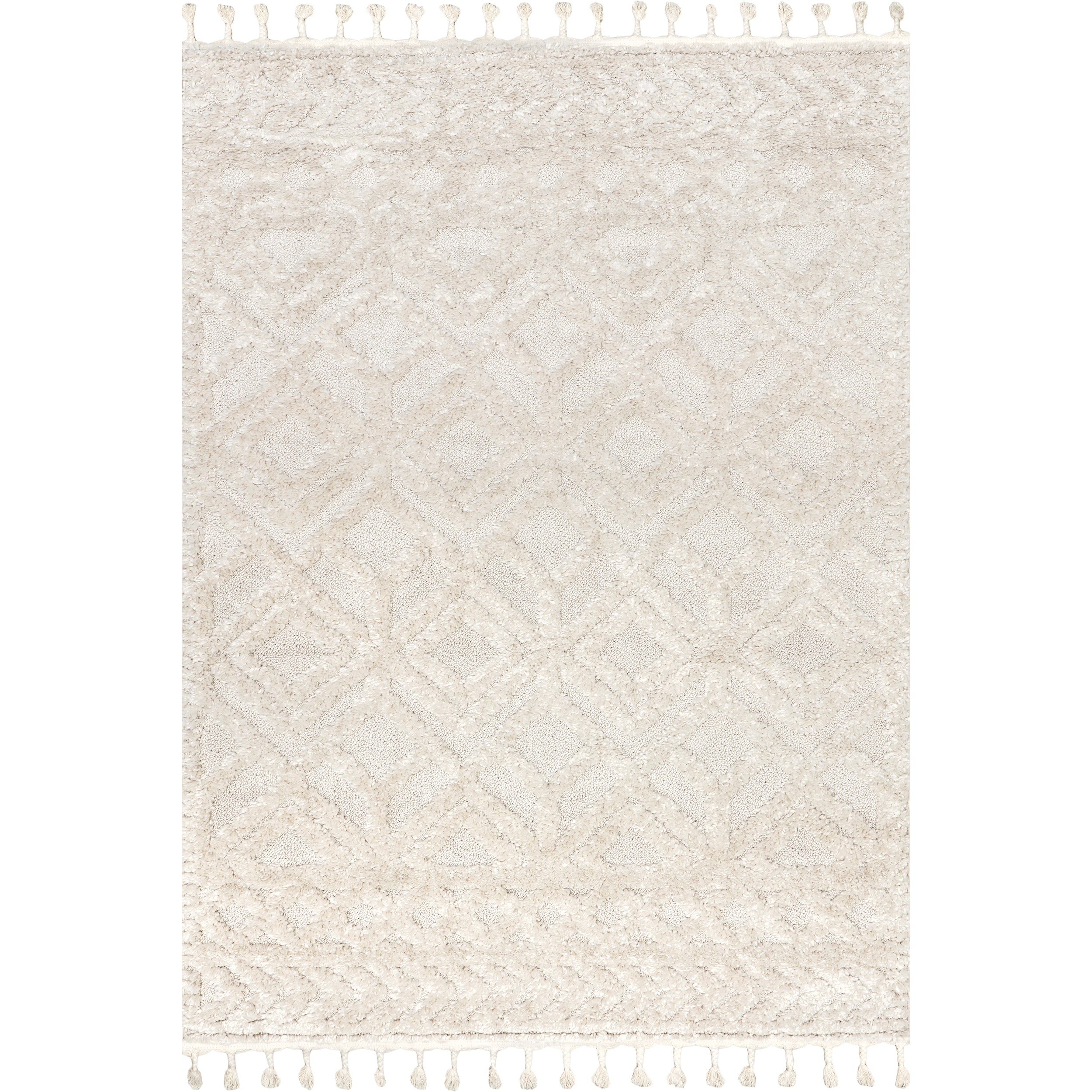 Akia Lattice High/Low Tassel Area Rug - Image 20